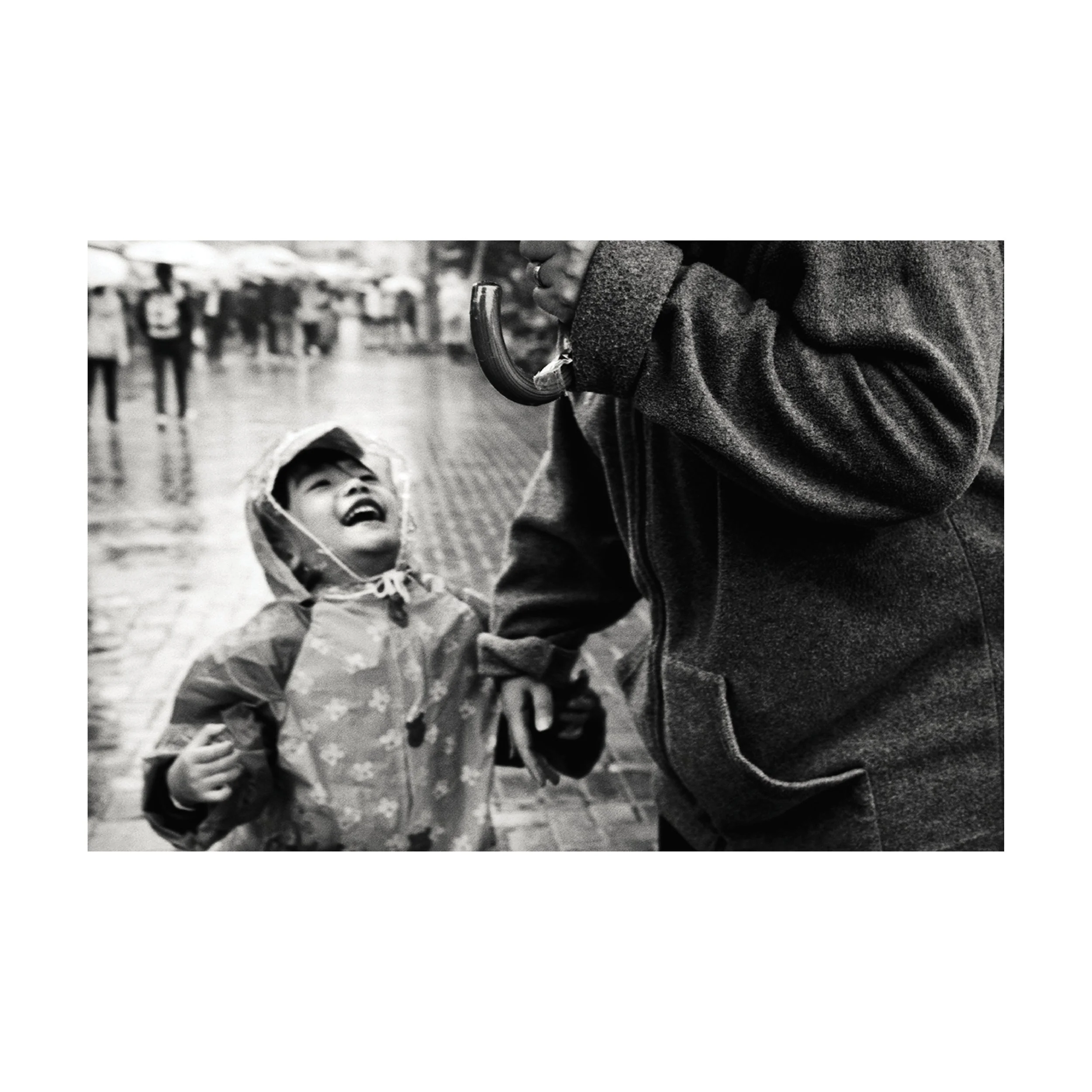 slideshow white background2.jpg