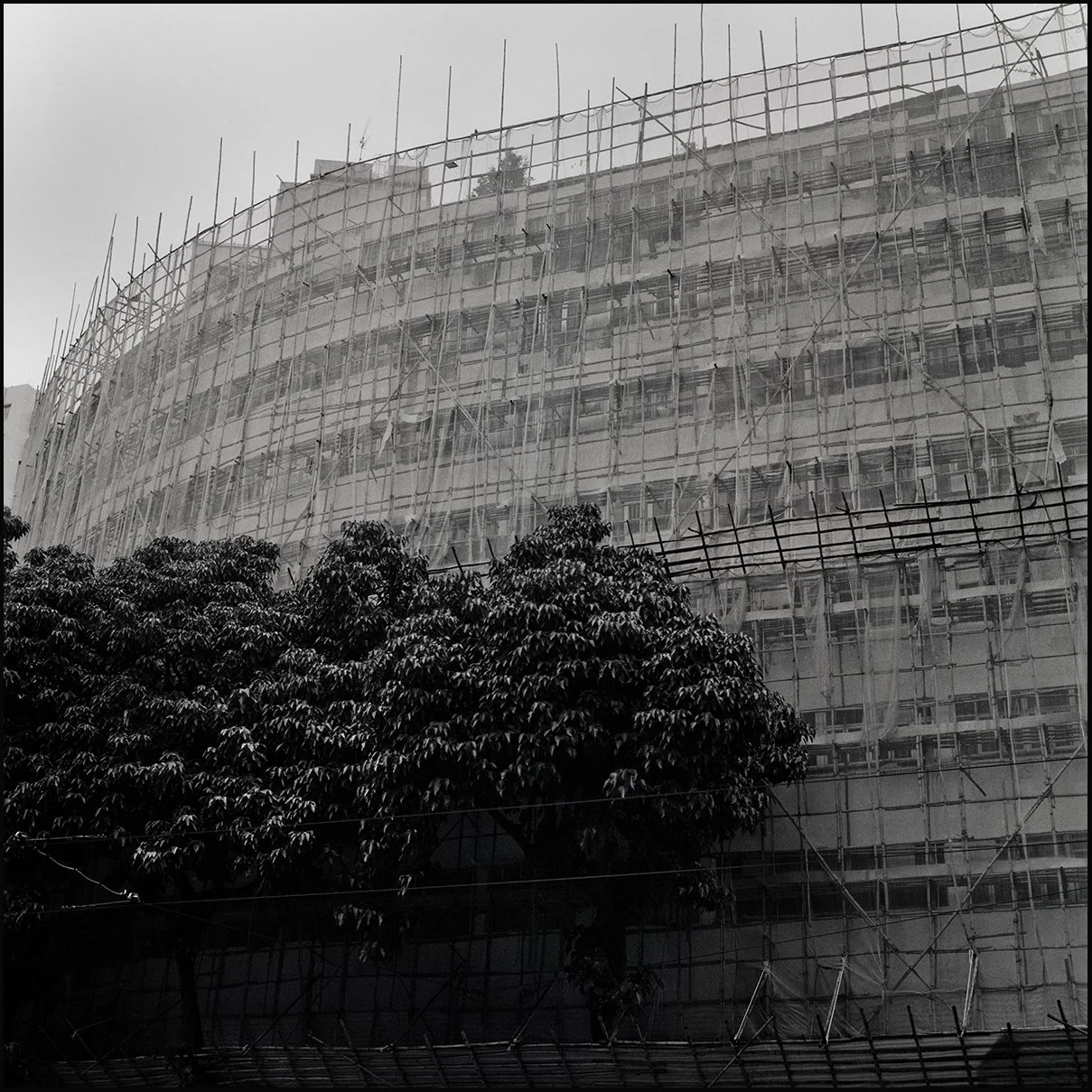 Quarry Bay.  Hong Kong. 2025.