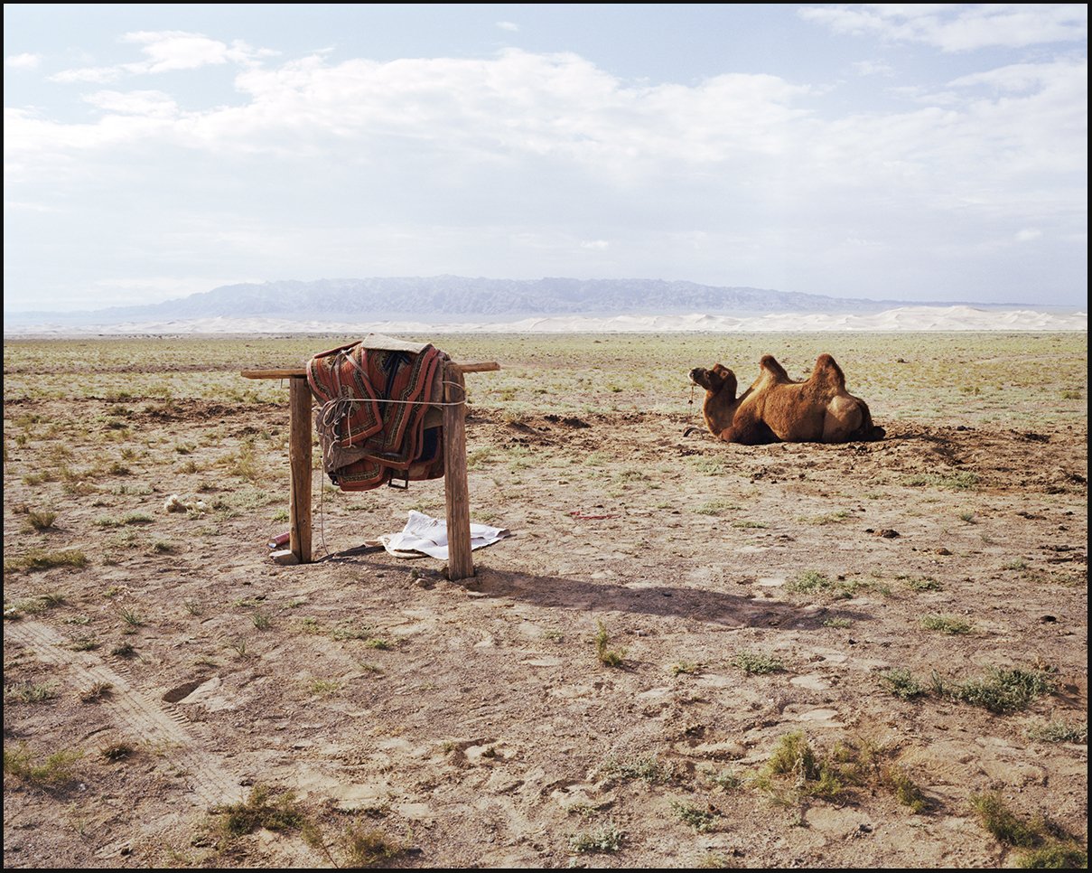 Mongolia. 2025.