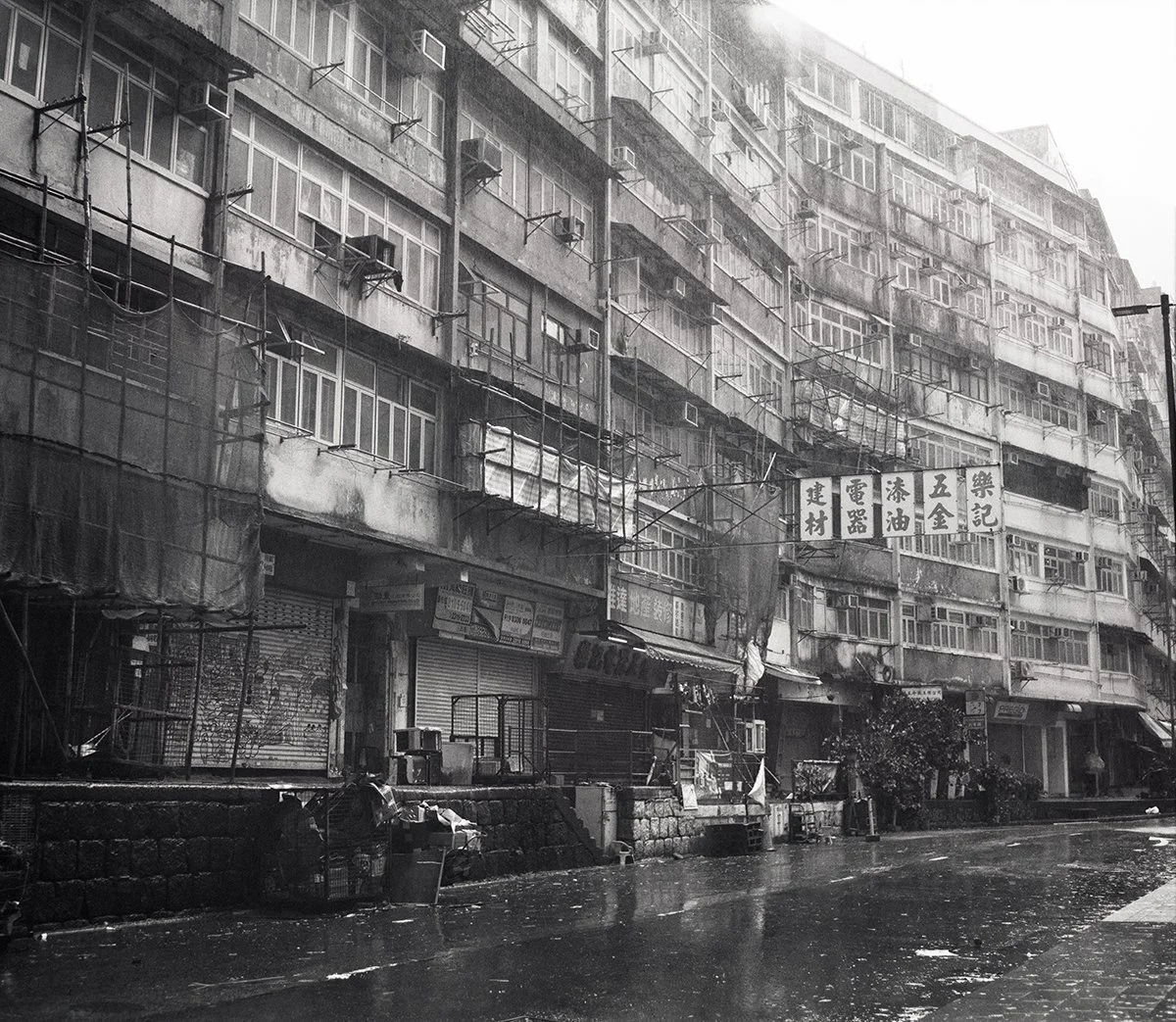 Pan Hoi Street (2023)