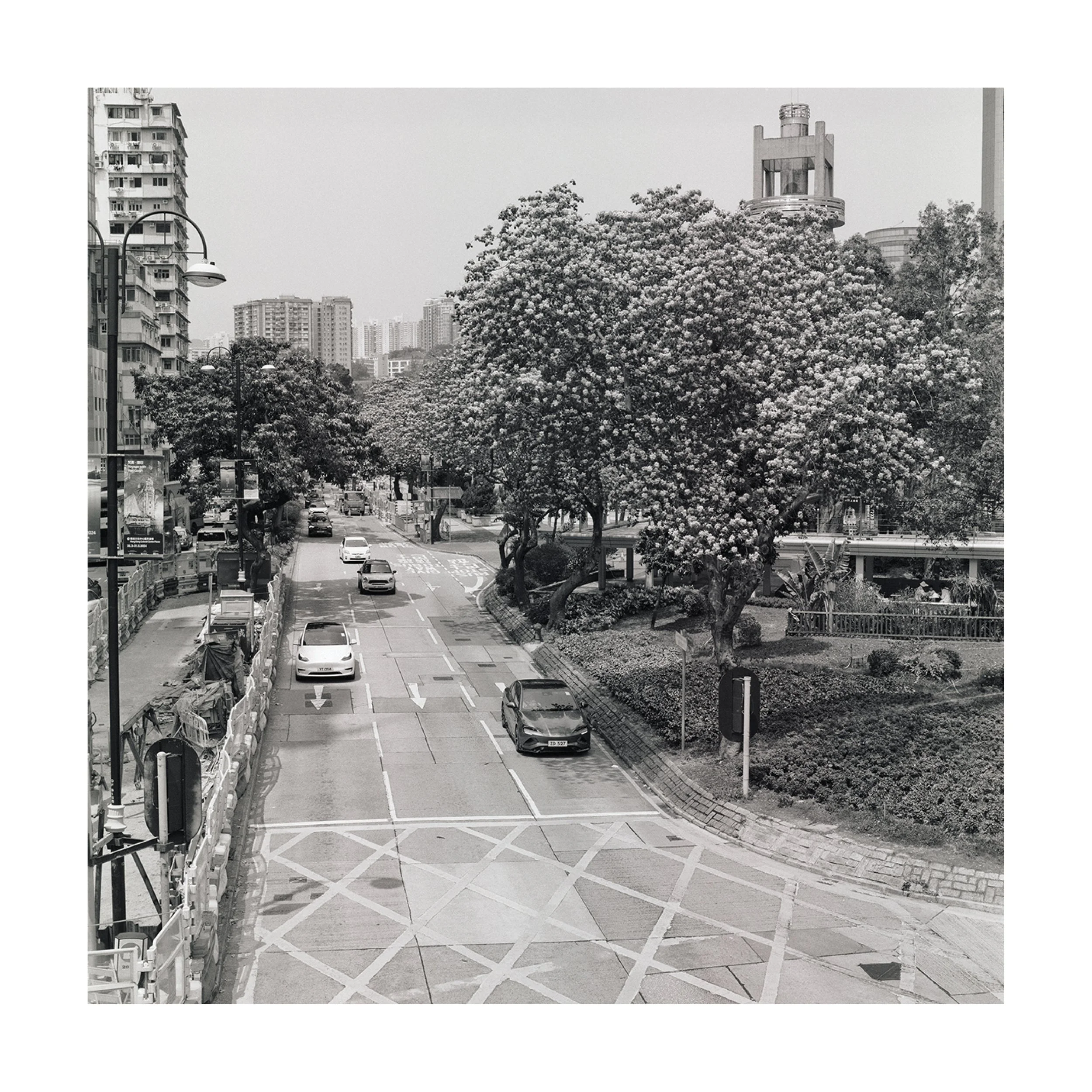 slideshow white background16.jpg