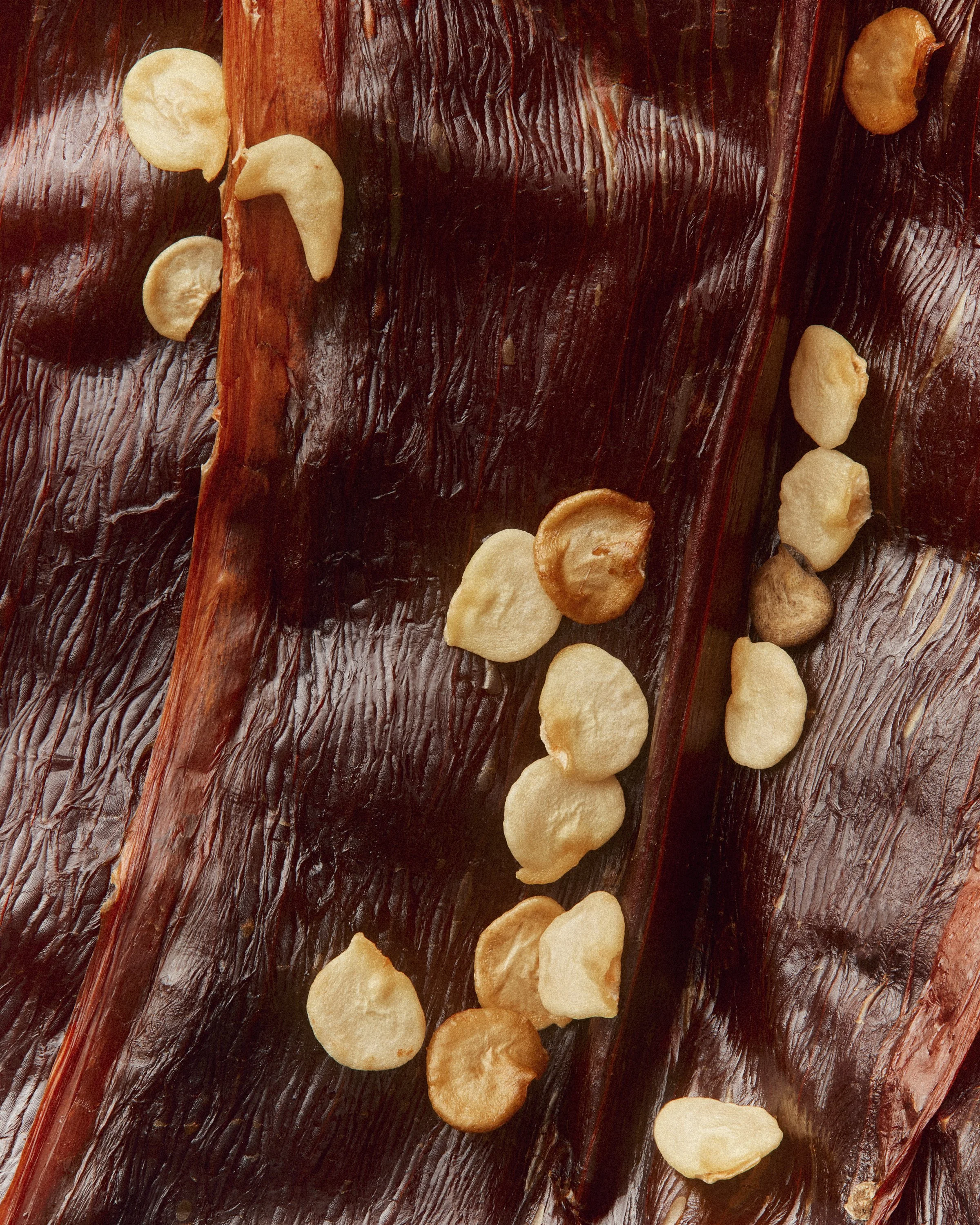 Jason Lewer commercial advertising still life and product photographer