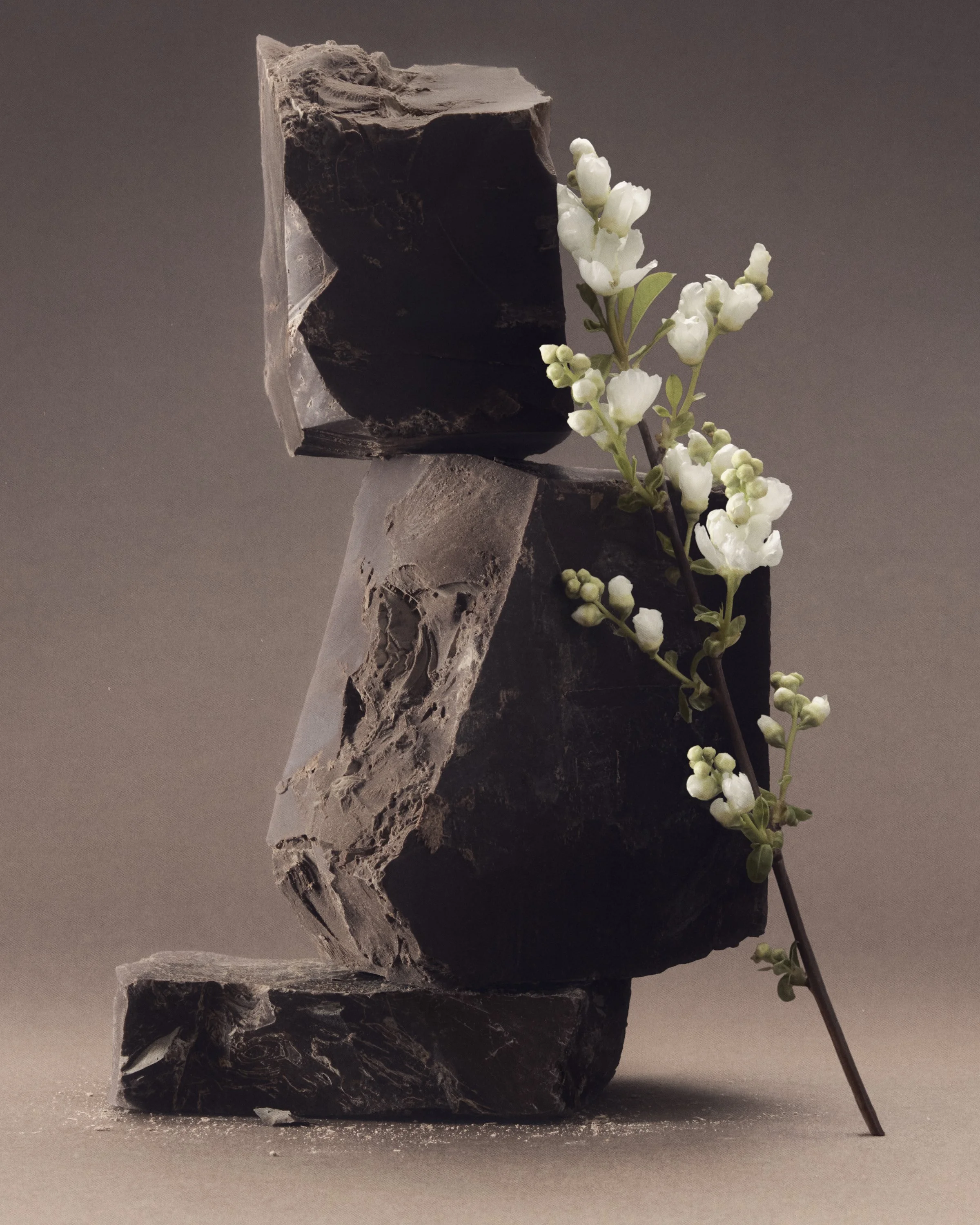 Jason Lewer commercial advertising still life and product photographer