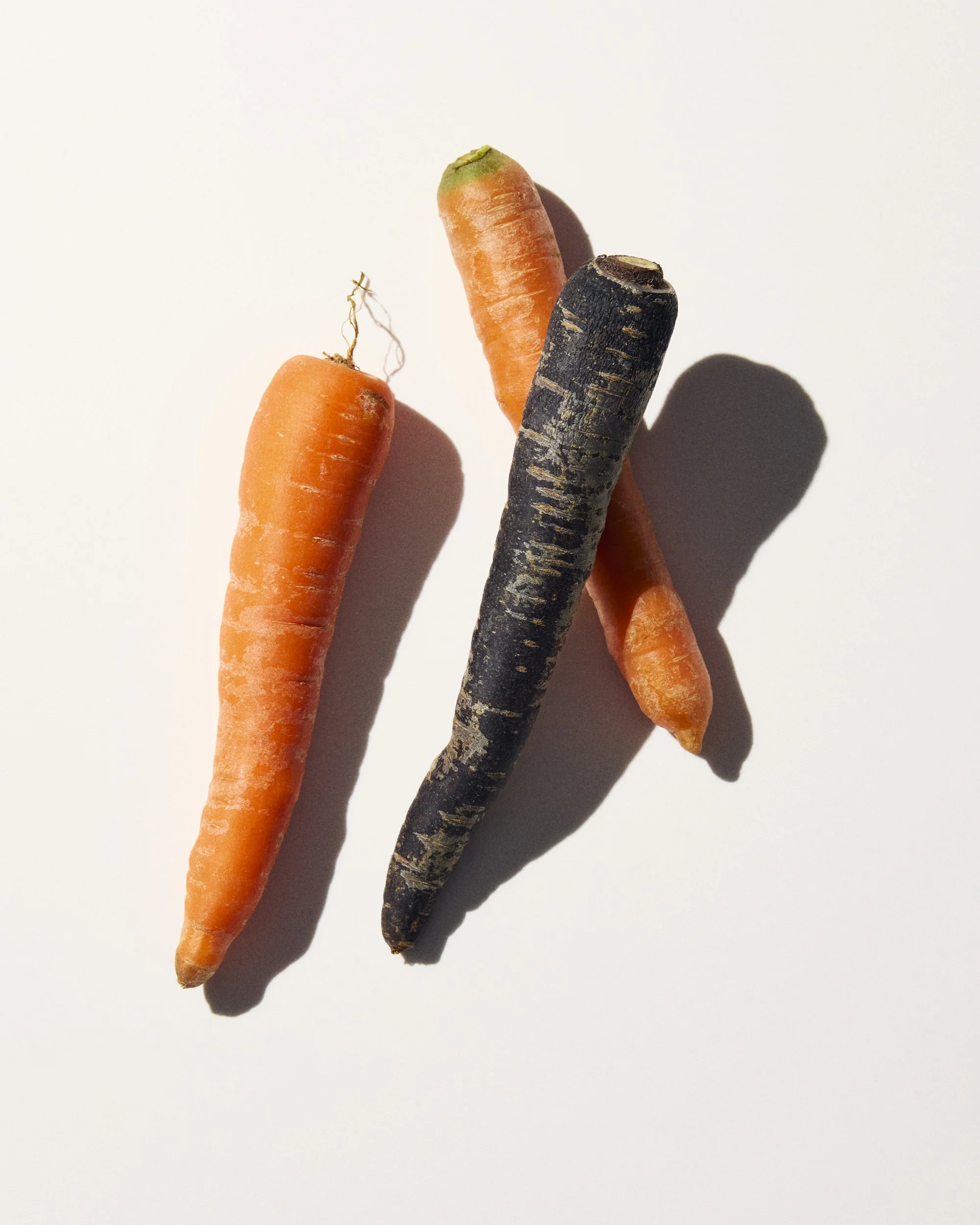 Jason Lewer commercial advertising still life and product photographer