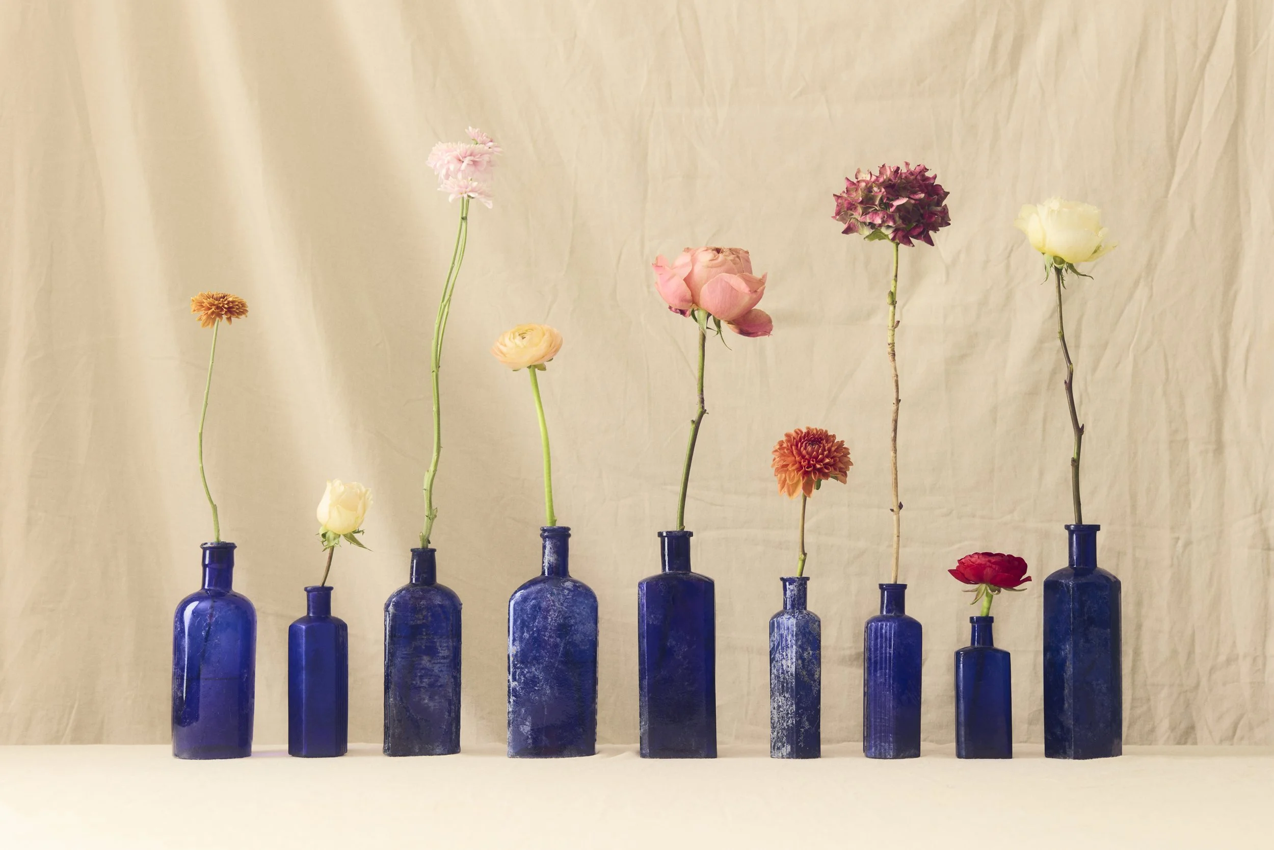 Jason Lewer commercial advertising still life and product photographer