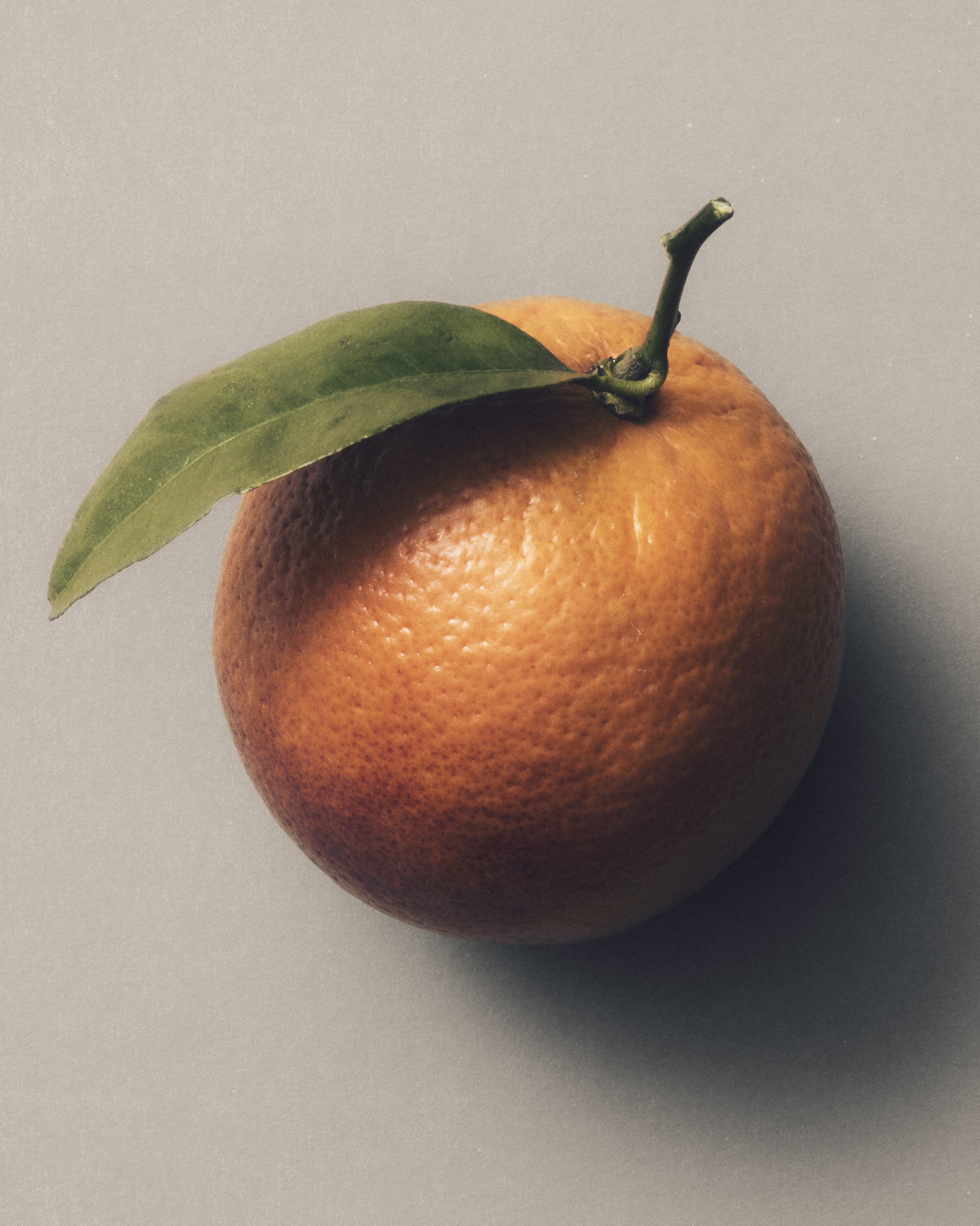 Jason Lewer commercial advertising still life and product photographer