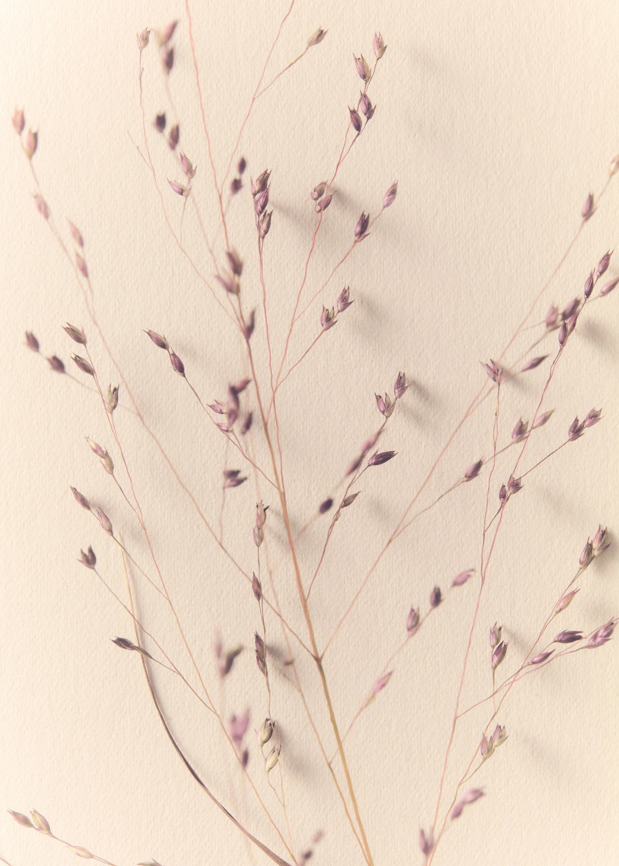 Jason Lewer commercial advertising still life and product photographer