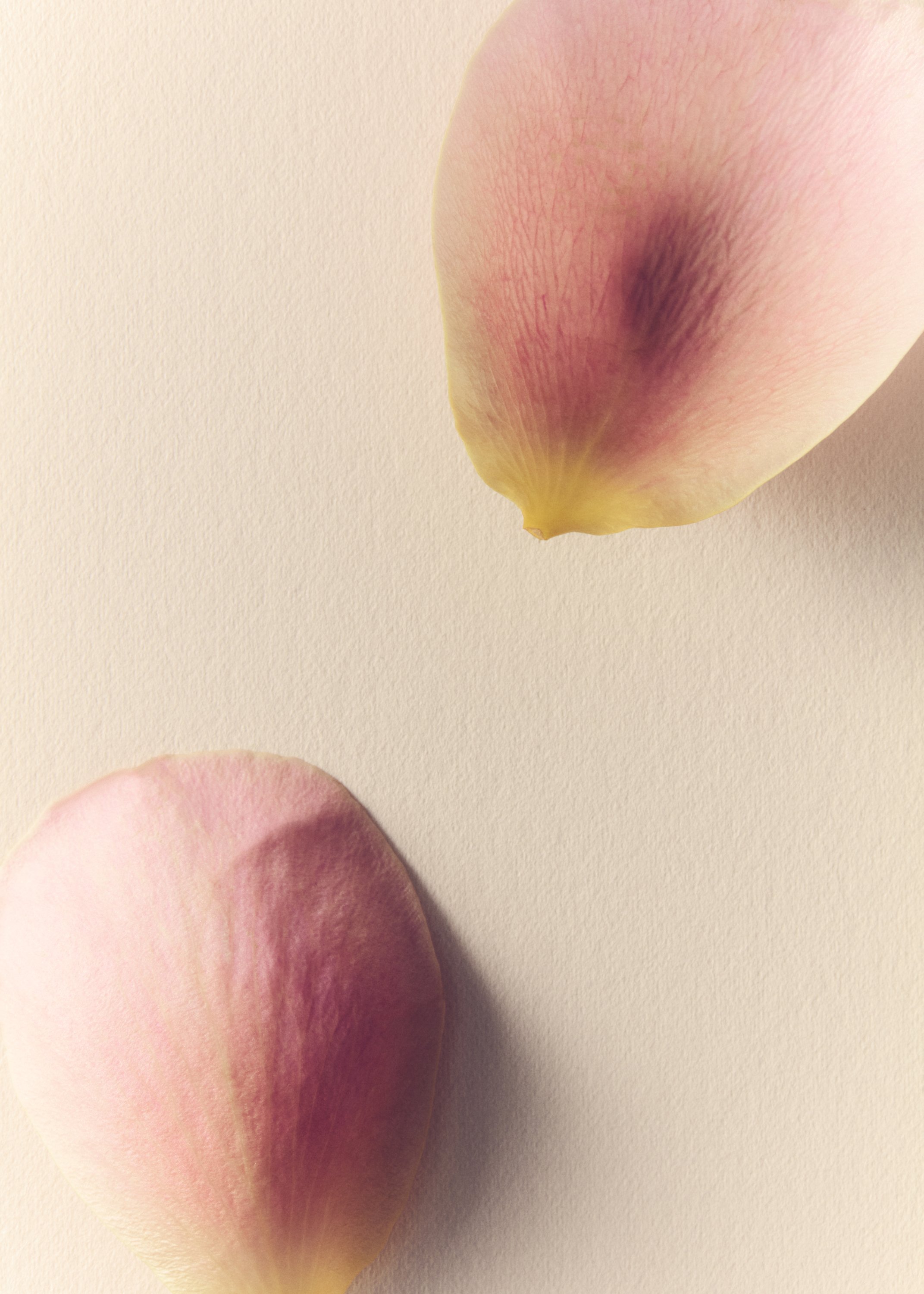 Jason Lewer commercial advertising still life and product photographer