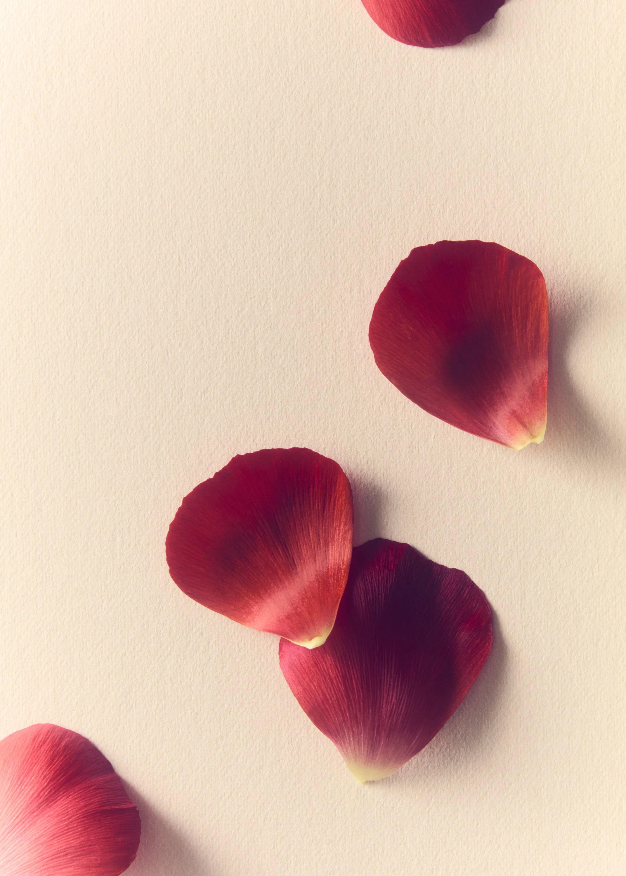 Jason Lewer commercial advertising still life and product photographer