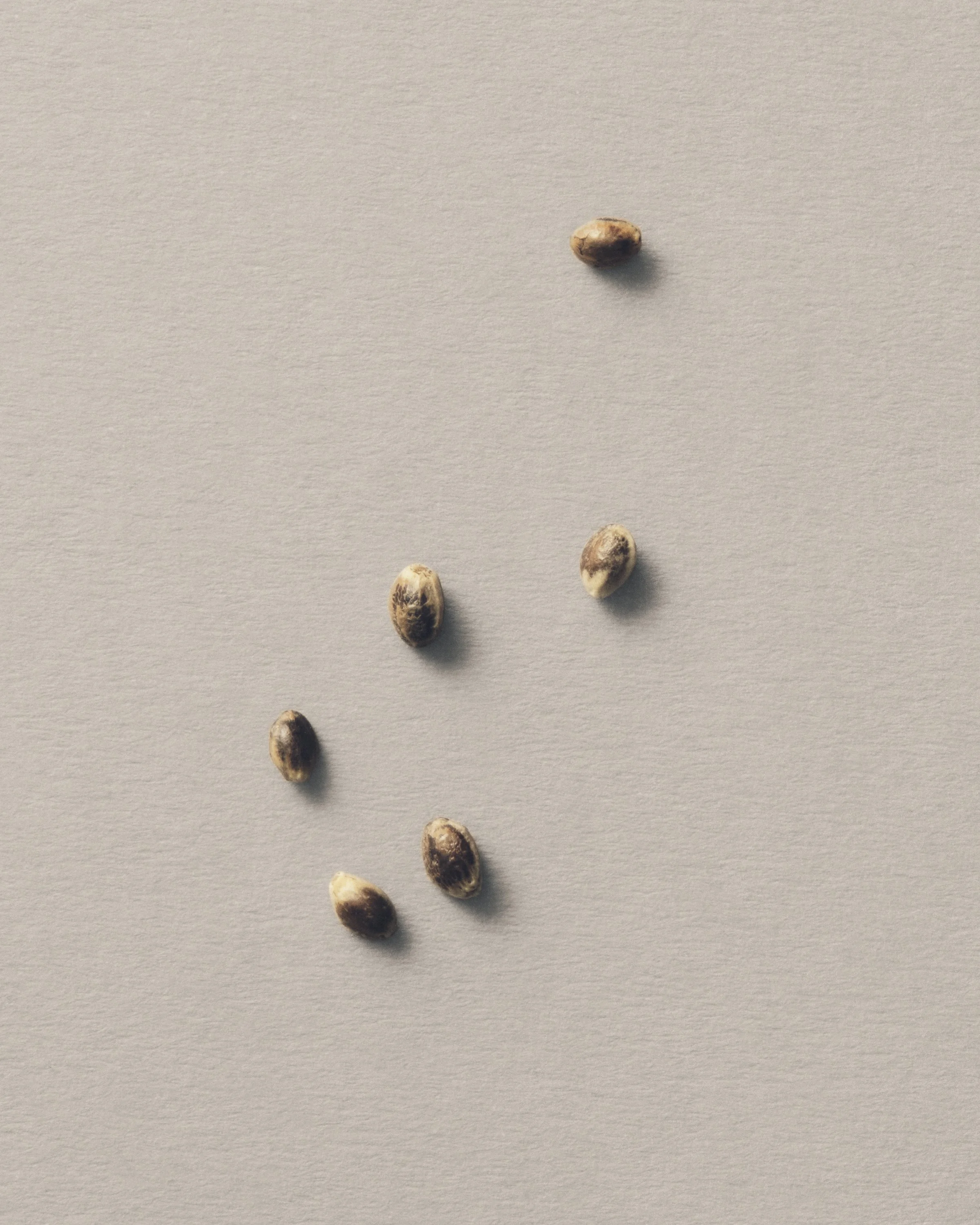 Jason Lewer commercial advertising still life and product photographer