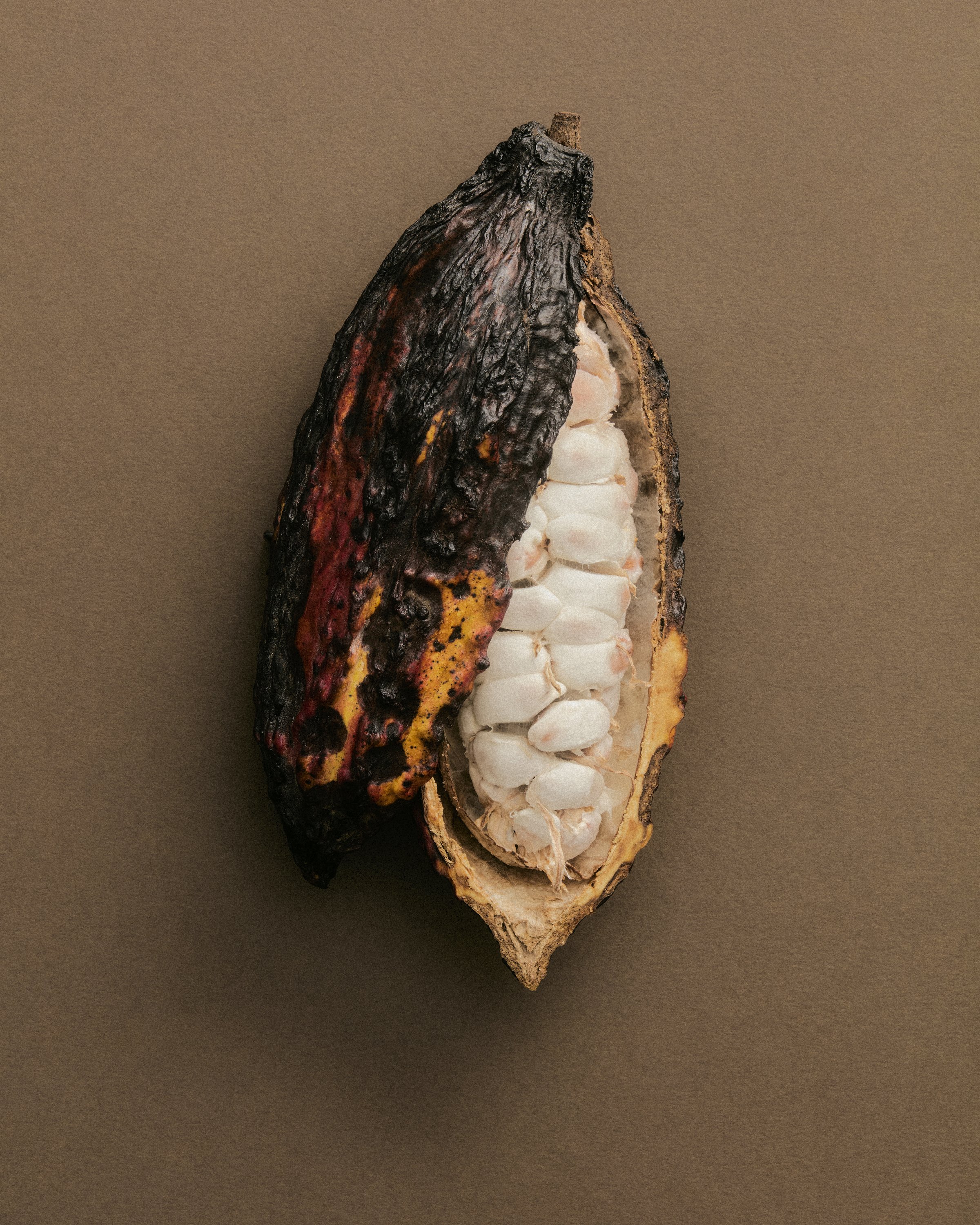 Jason Lewer commercial advertising still life and product photographer