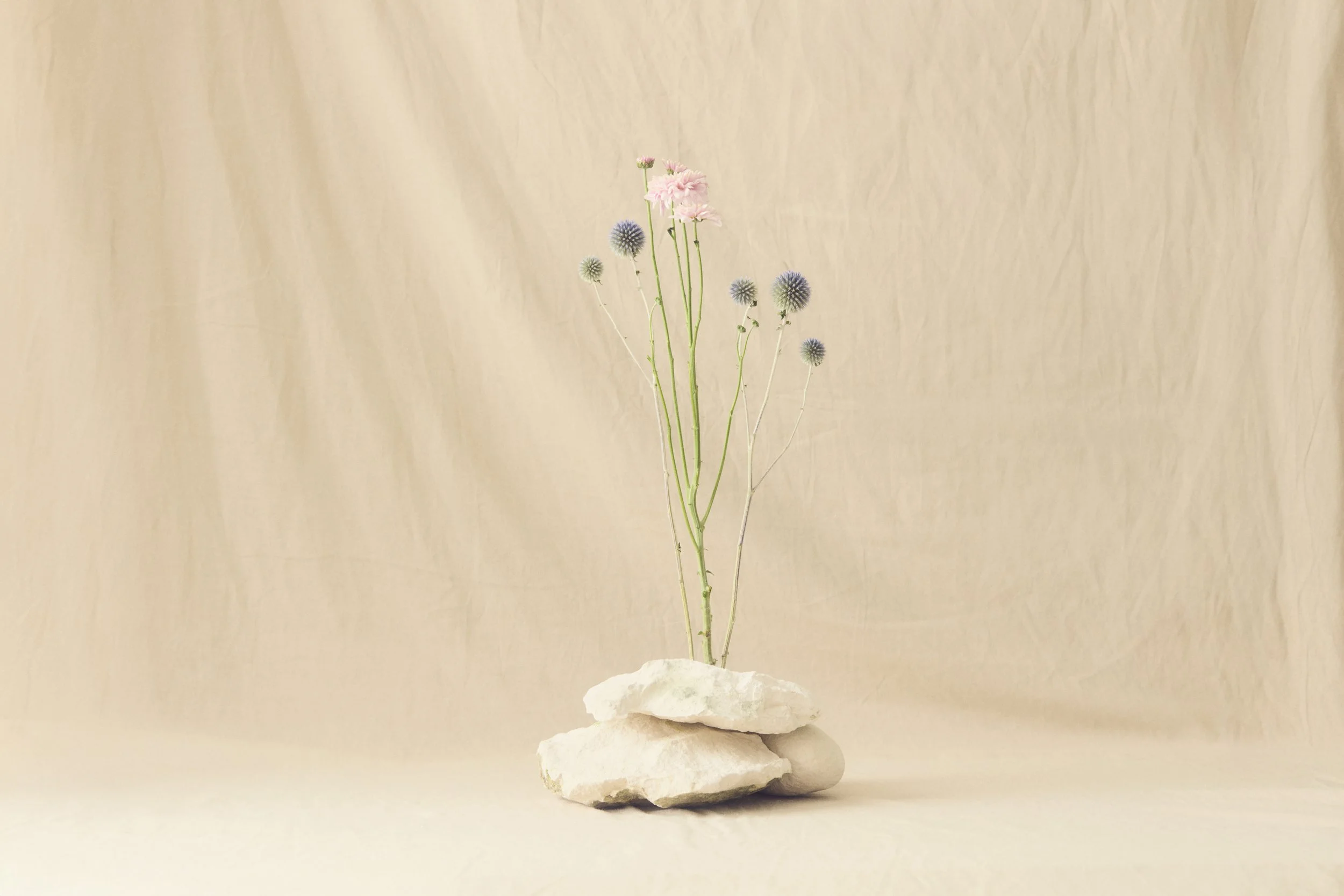 Jason Lewer commercial advertising still life and product photographer