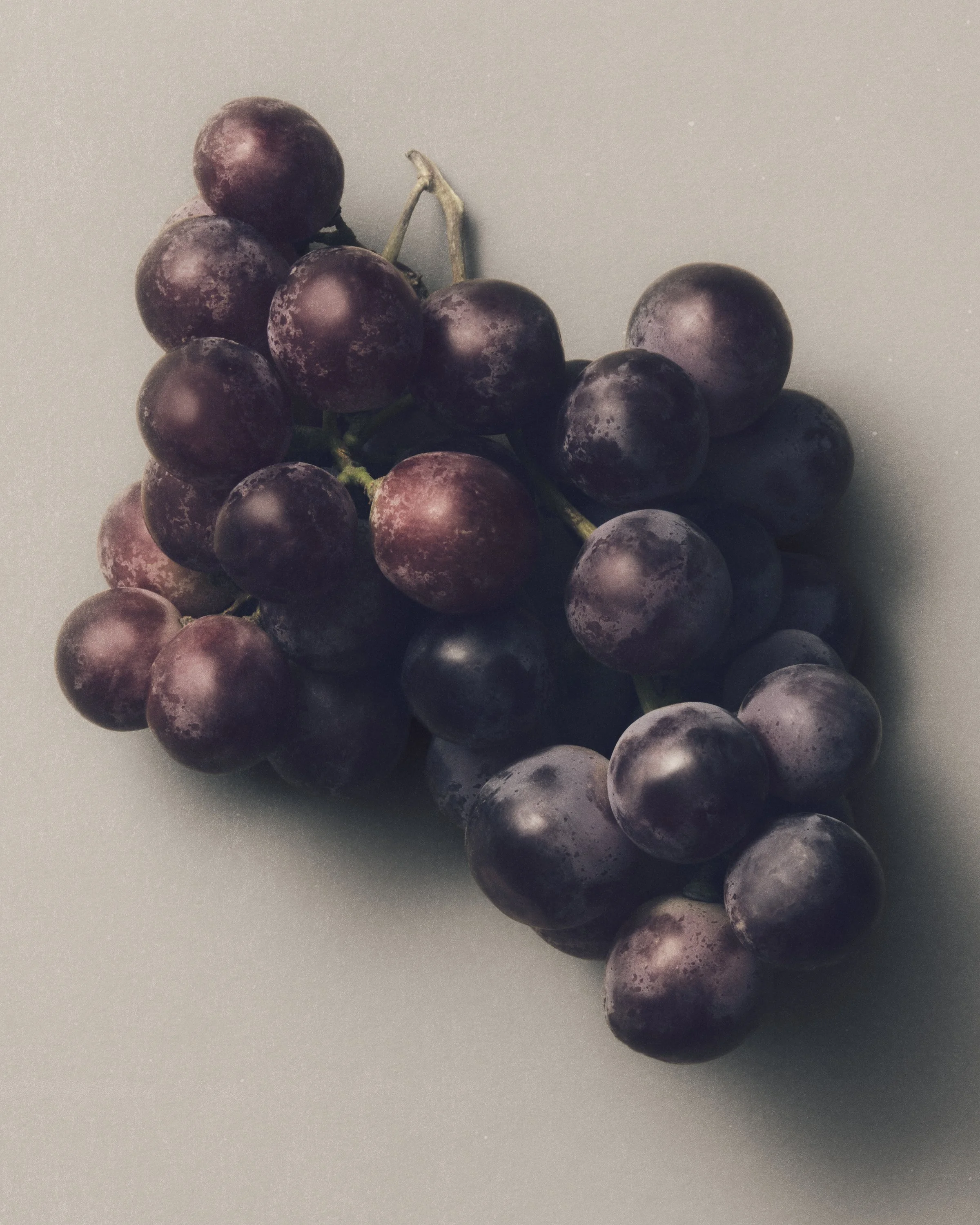 Jason Lewer commercial advertising still life and product photographer