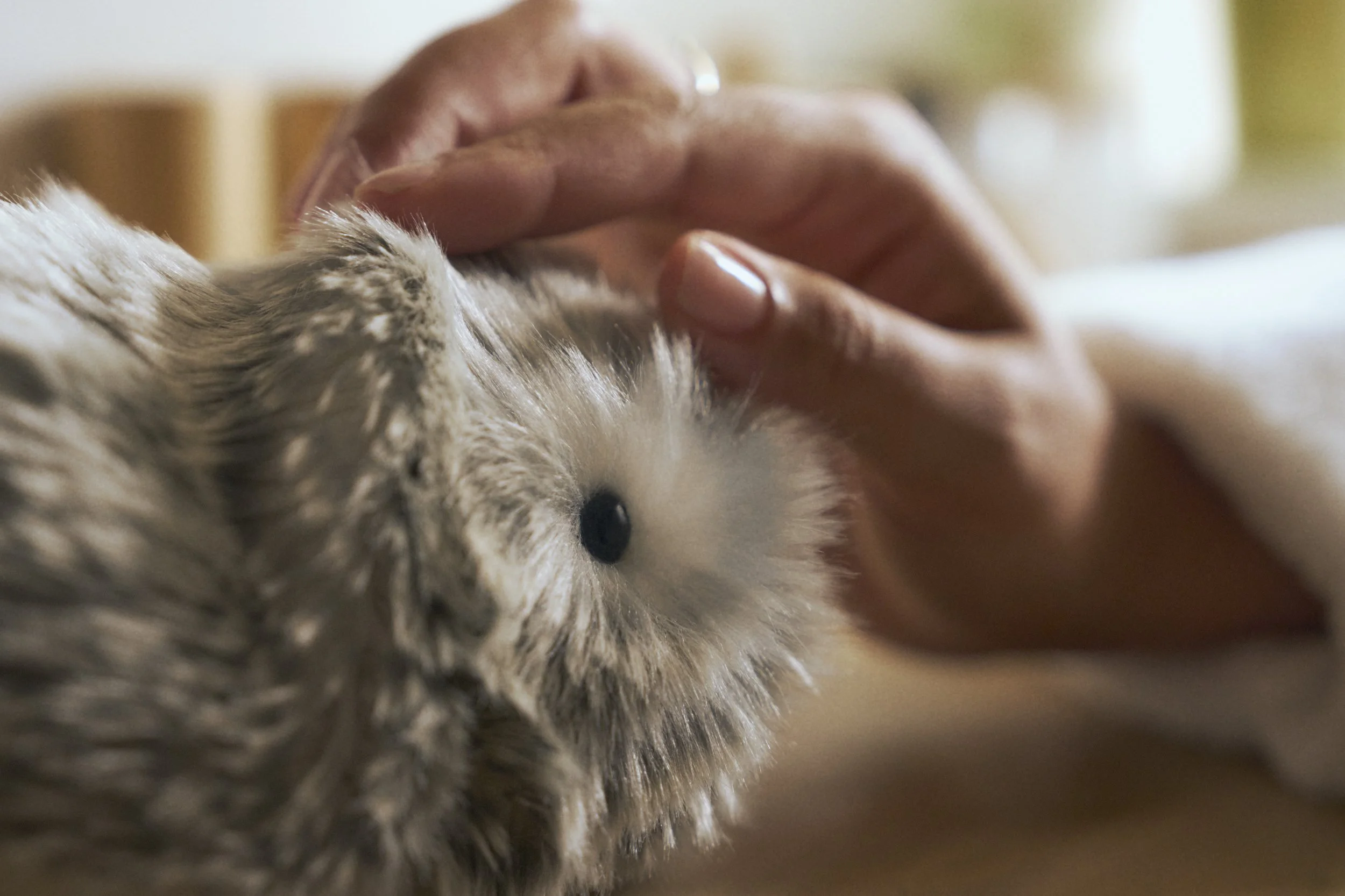 Jason Lewer commercial advertising still life and product photographer