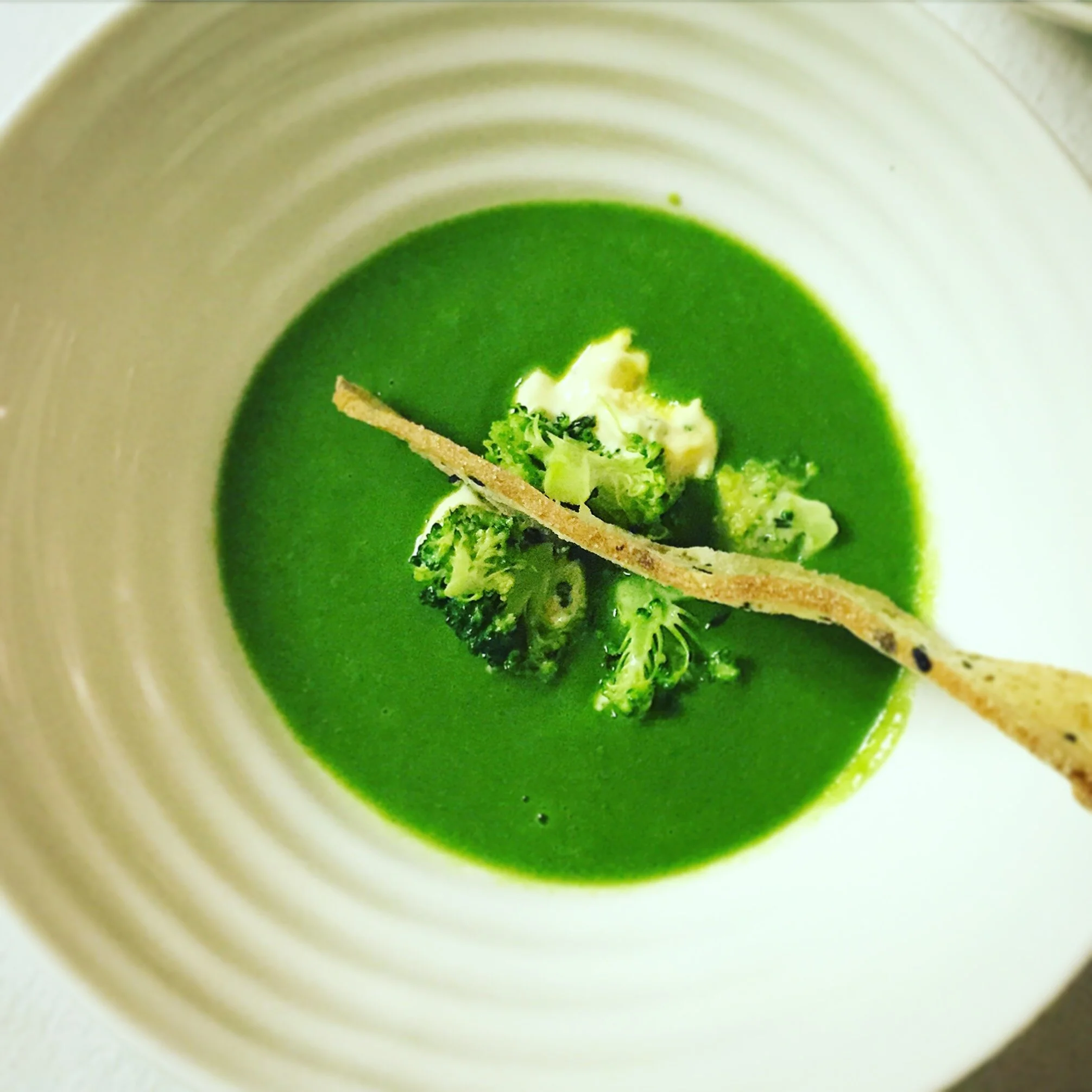 Late Fall 2015 Broccoli soup.JPG