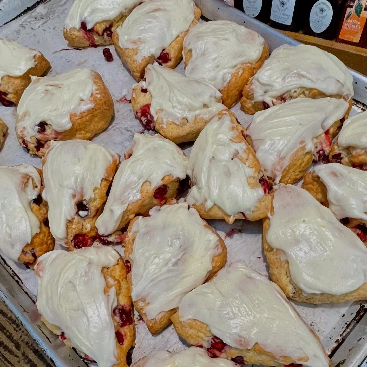 Your seasonal favorites just dropped into the pastry case ☕🍂

🍊 Cranberry Orange Scone &ndash; bright, fresh cranberries folded into an orange-scented scone, finished with a citrus glaze.

🌾 Gluten-Free Cinnamon Roll Scone &ndash; tender, swirled 
