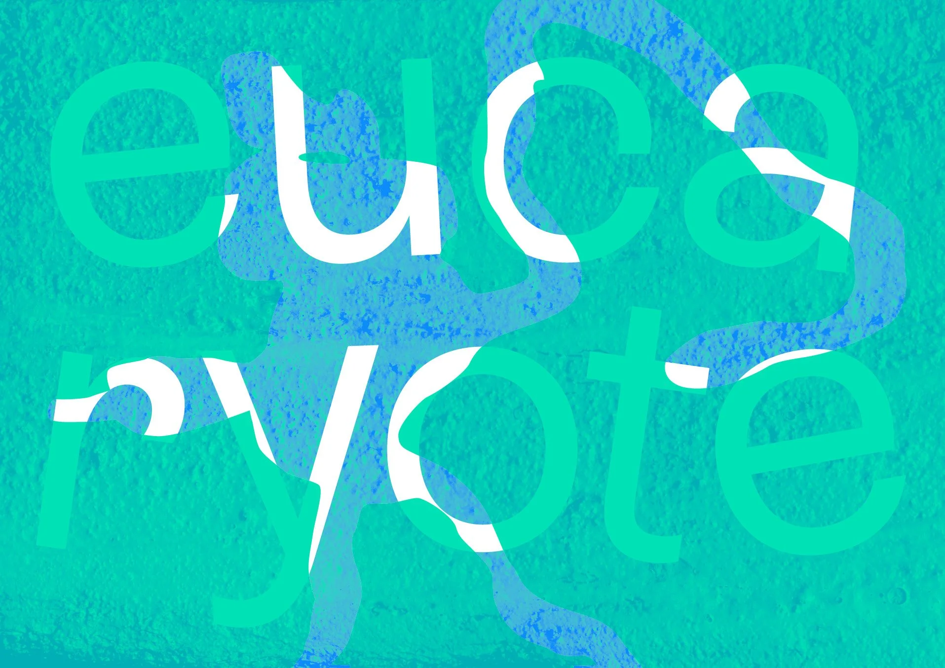260628fmac-eucaryote-digital-recto.jpg