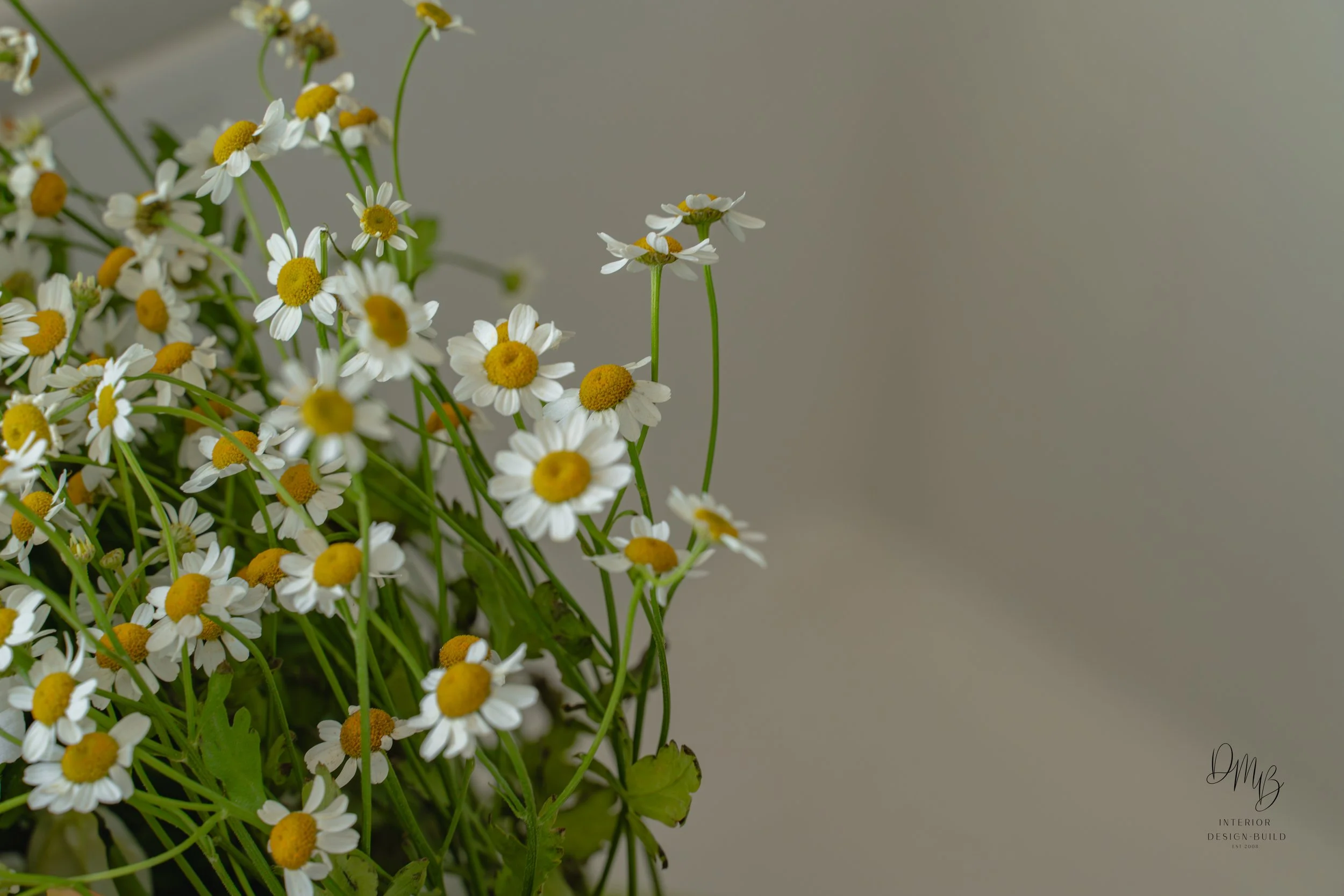 The Georgia Full Res Watermarked-041.jpg