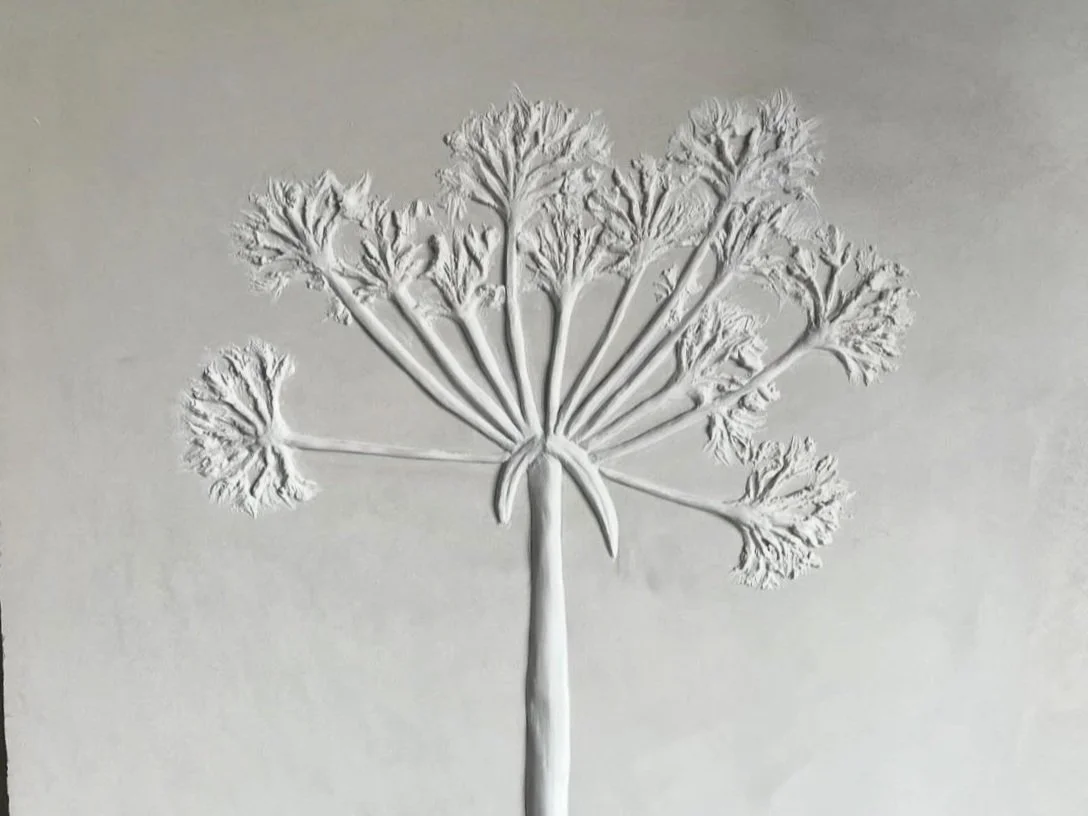 Screenshot 2025-03-20 at 11.13.01 am.jpg