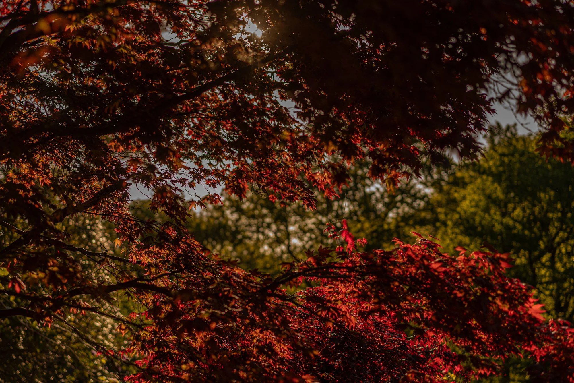 EH-JA-DD-APRIL2026-4568.jpg