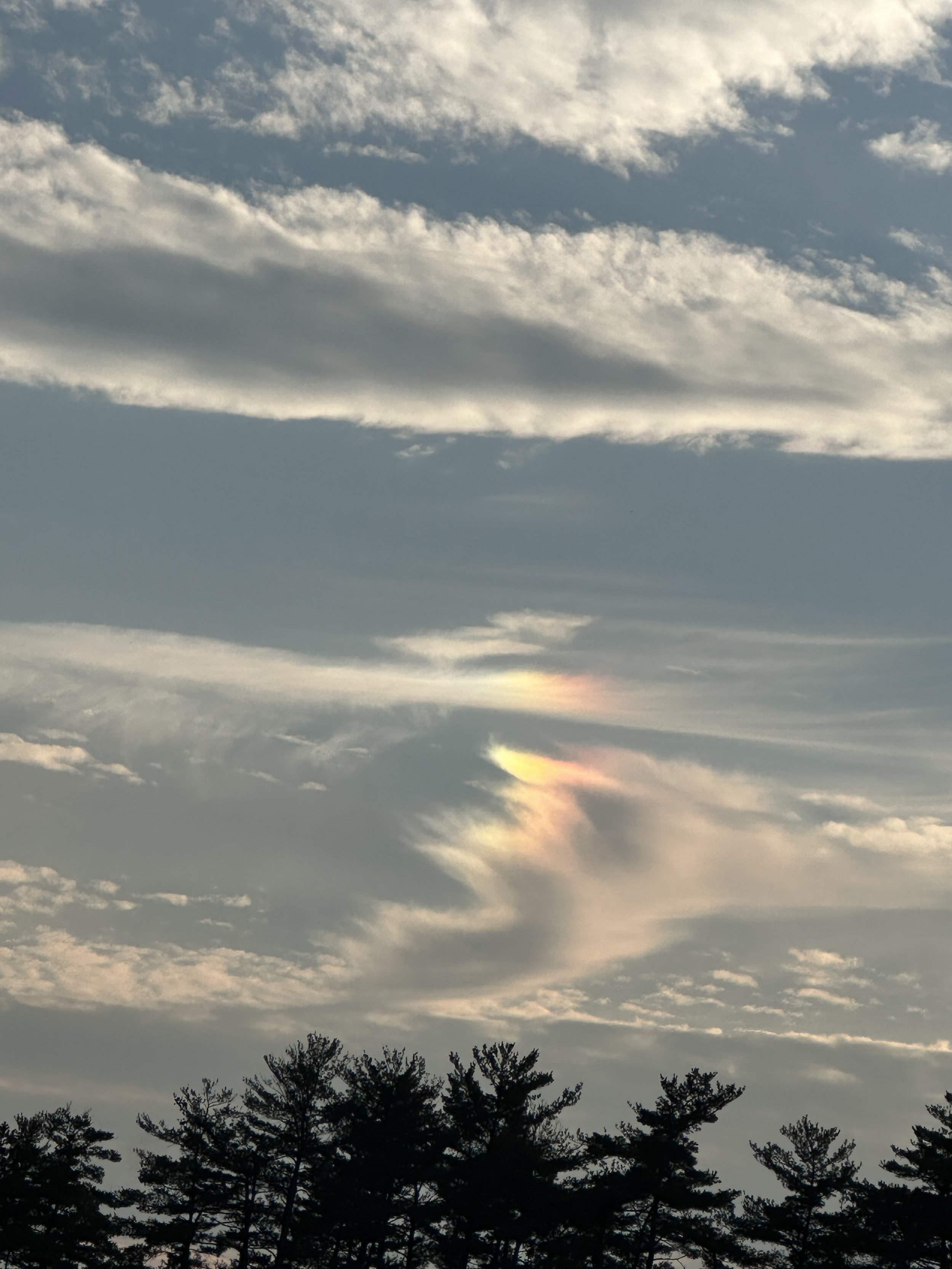 Loss and love…and loss