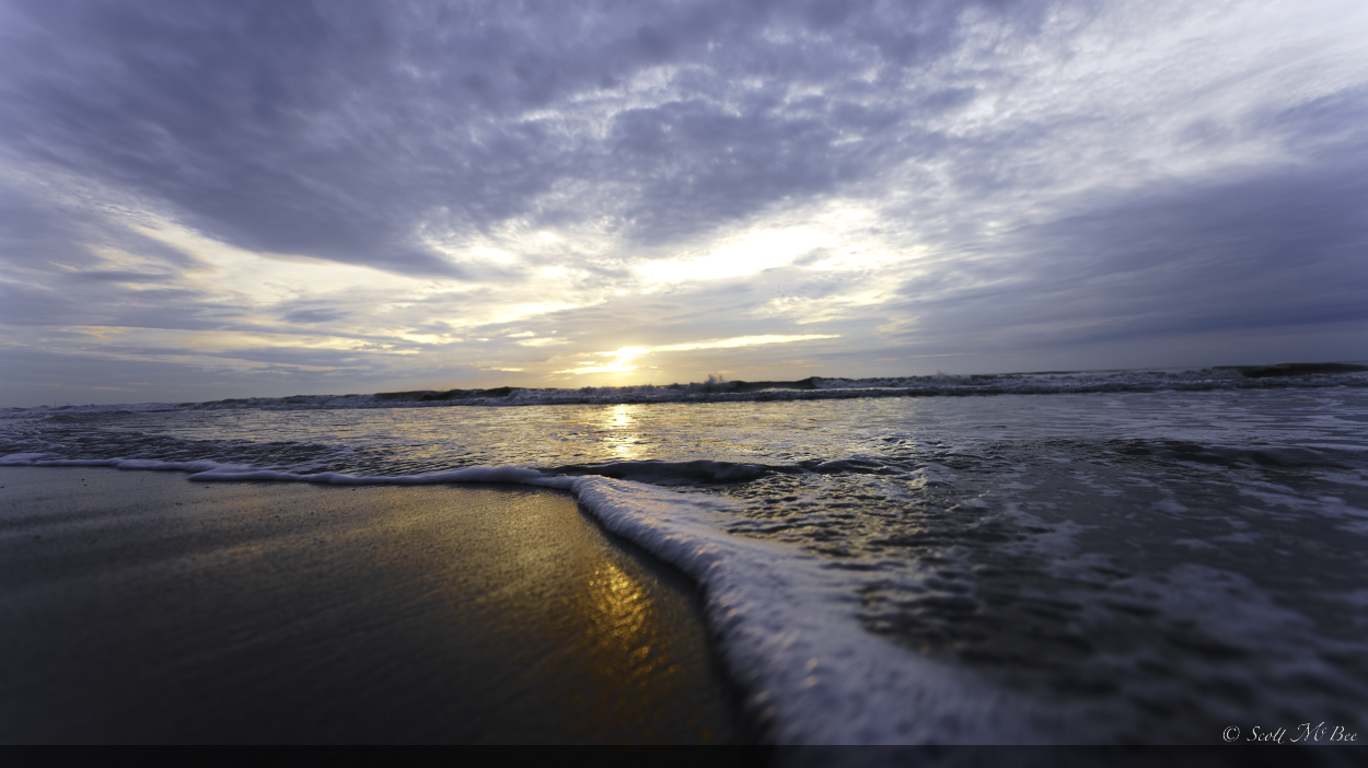 _DSC5490.png