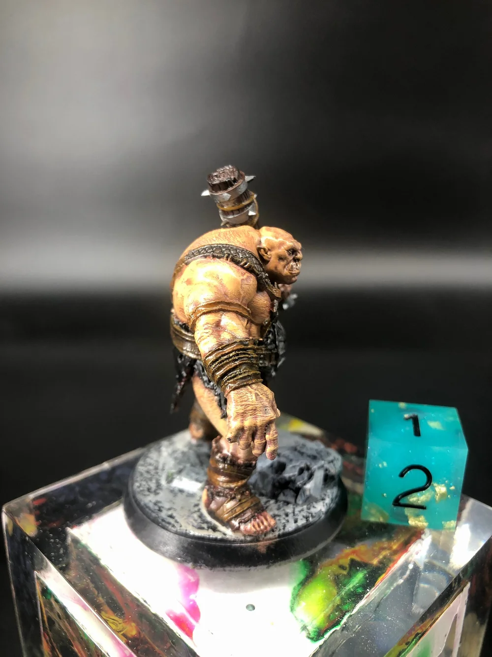 Figurine Ours Cavalier Templier - Miniature Pour Donjons & Dragons DnD 5e, Neuve
