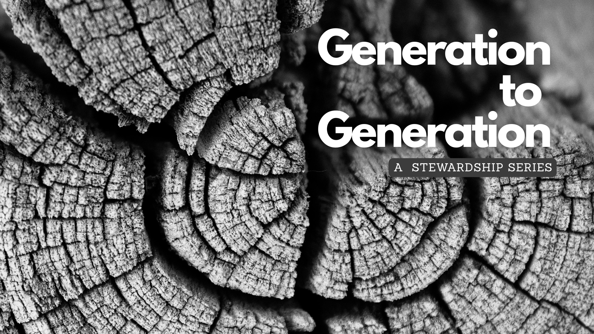 Generation to Generation. (3).png