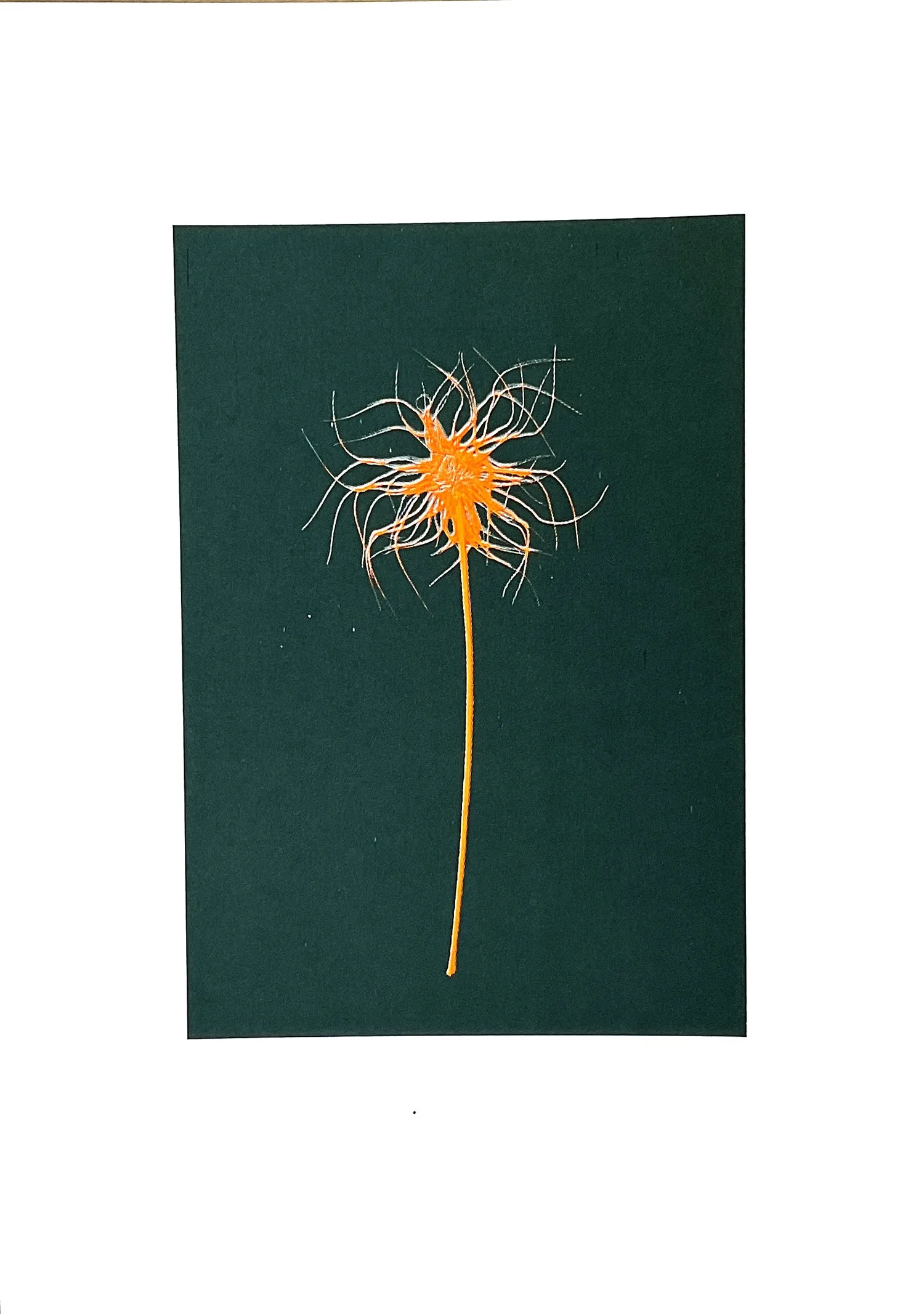 Fragile - screenprint in several colours