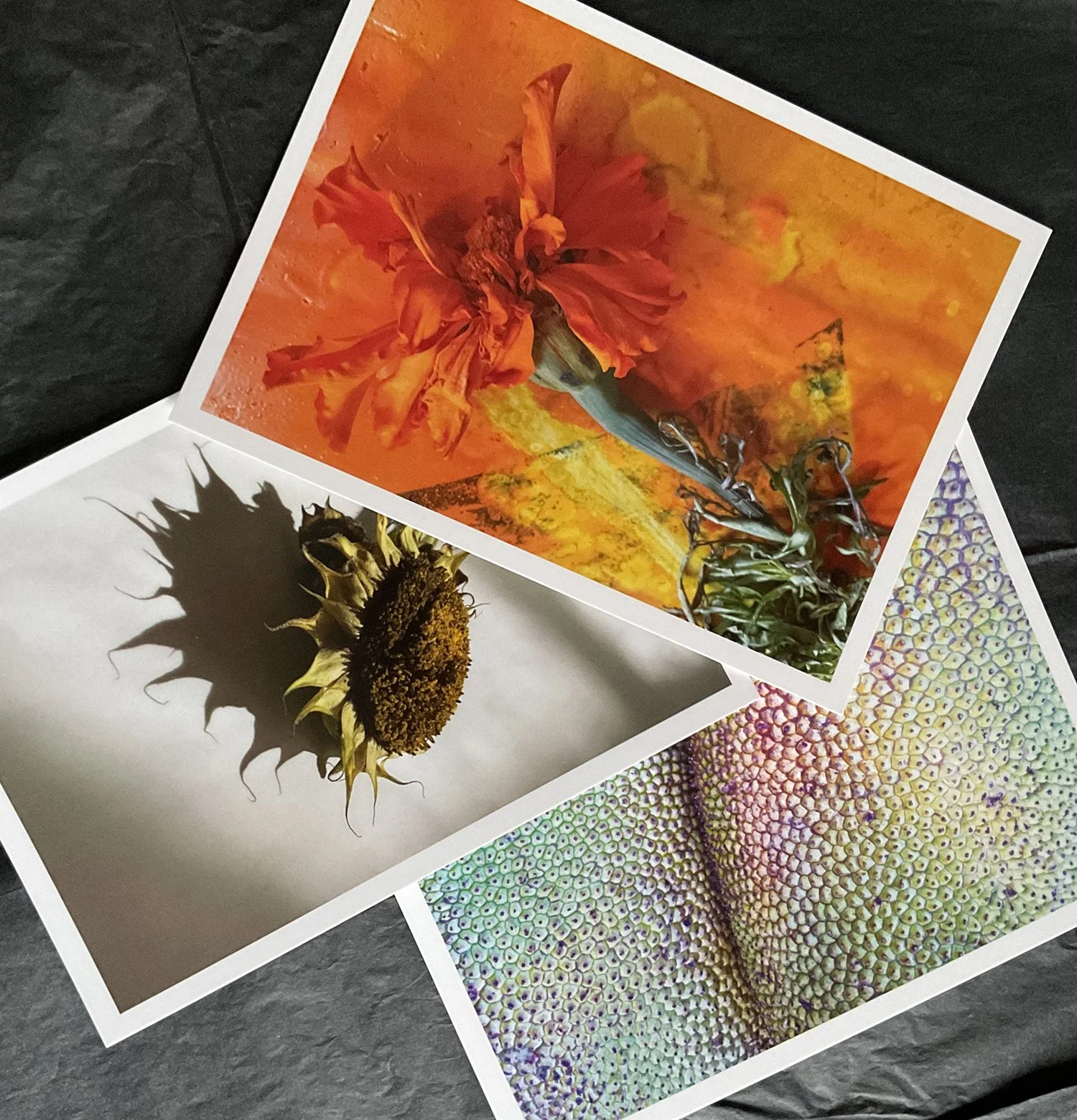 Kaartenset Full Colour