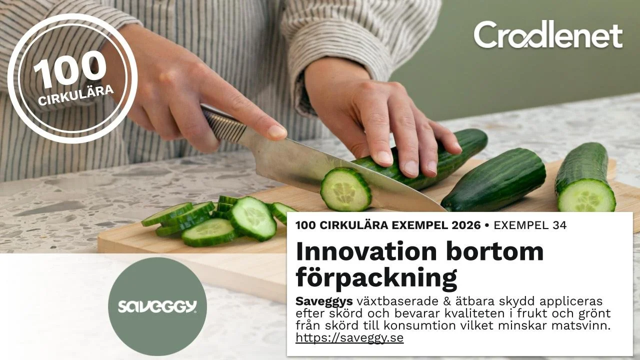 34. Saveggy – Innovation bortom förpackning