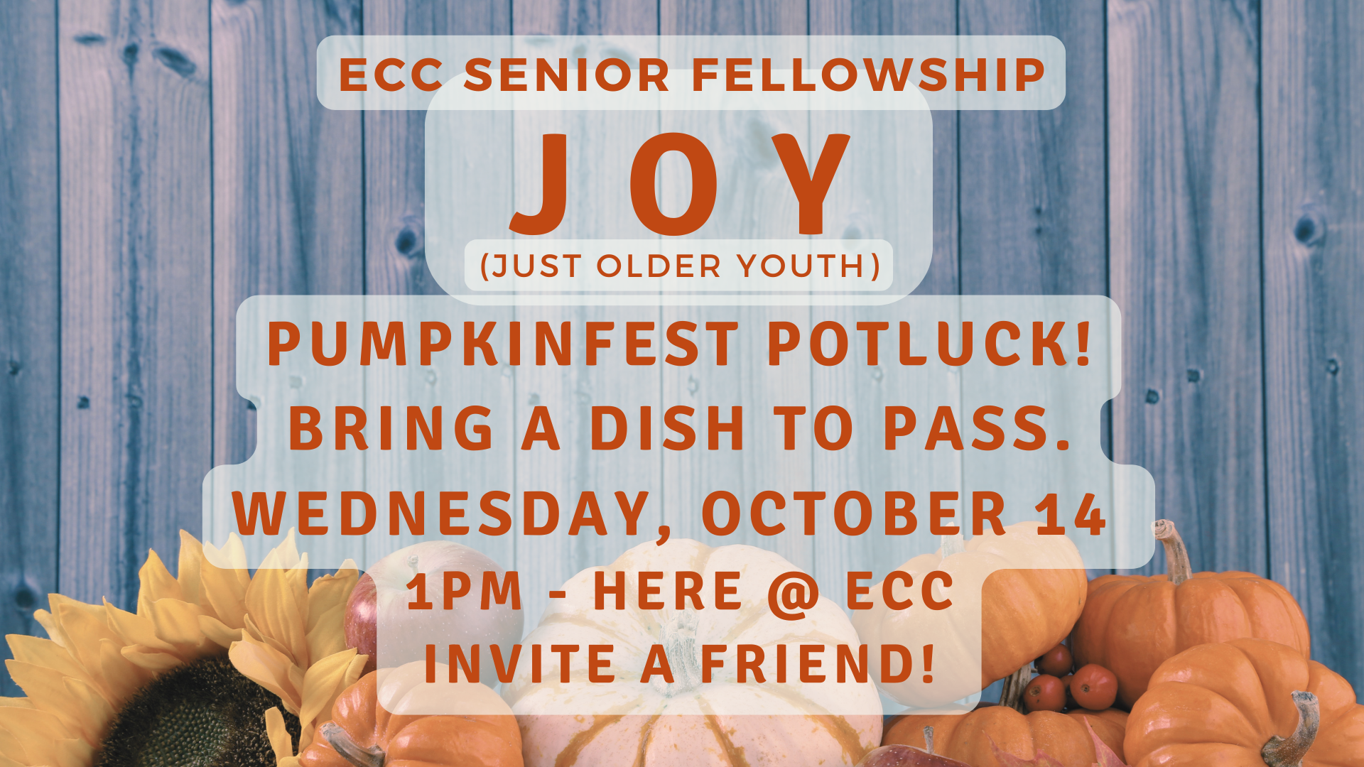 JOY (Just Older Youth) Senior Fellowship