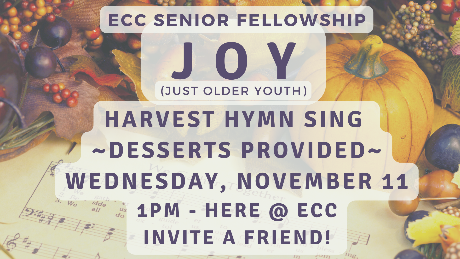 JOY (Just Older Youth) Senior Fellowship