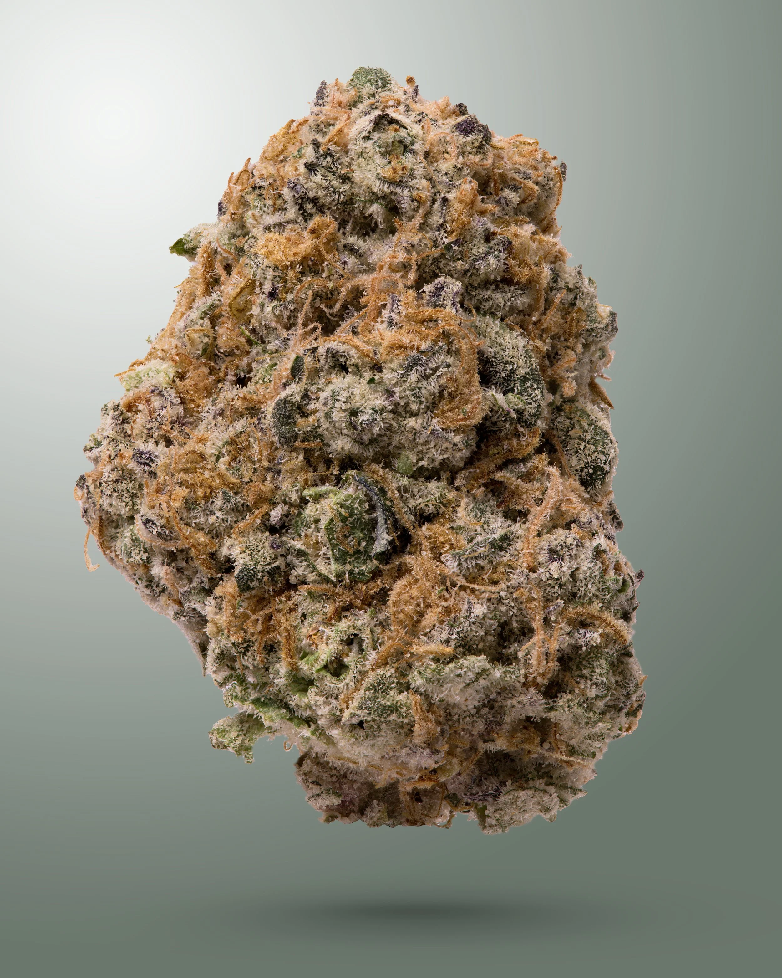 Sundae-Driver-GK-Jan-2023-Green.jpg