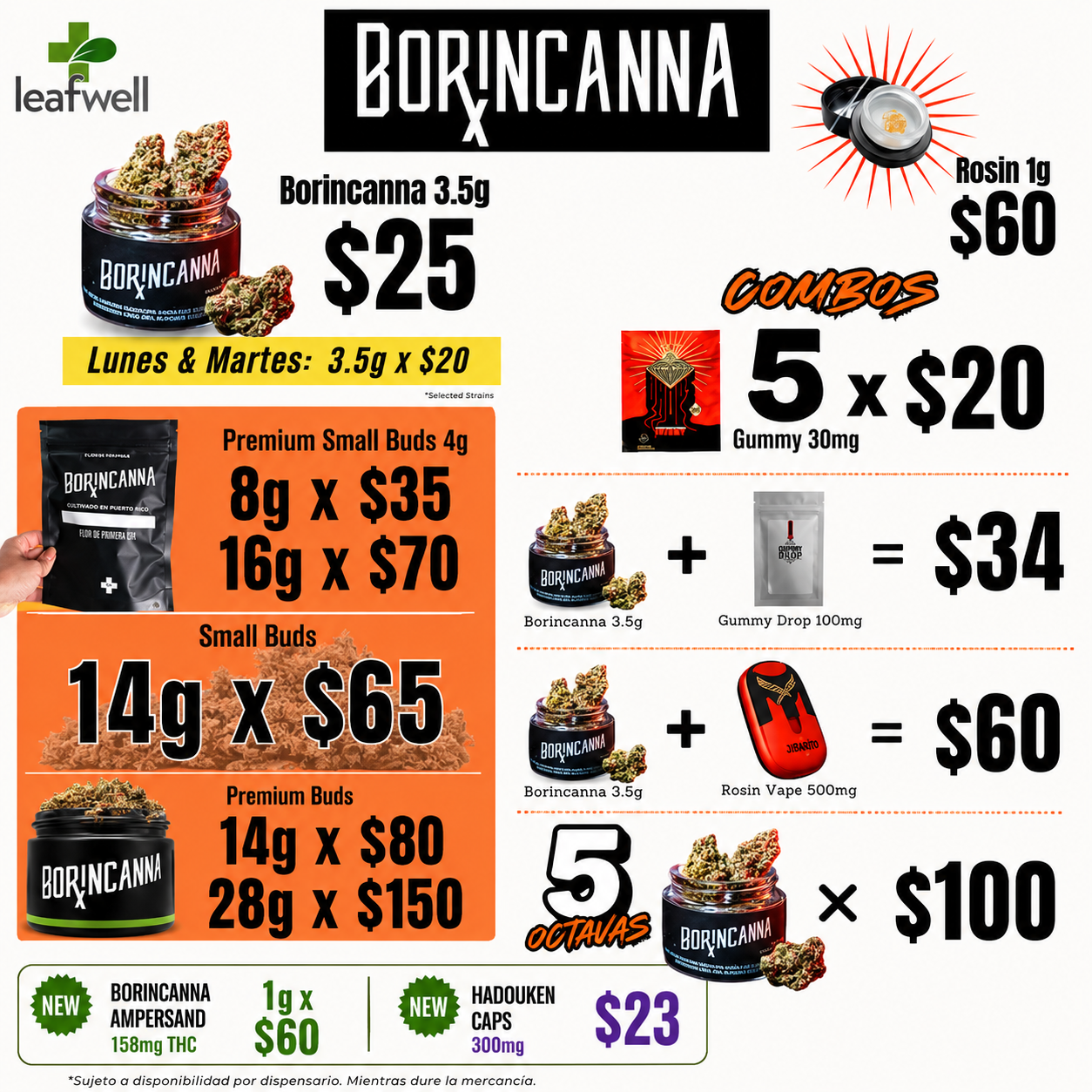 Borincanna APP.png