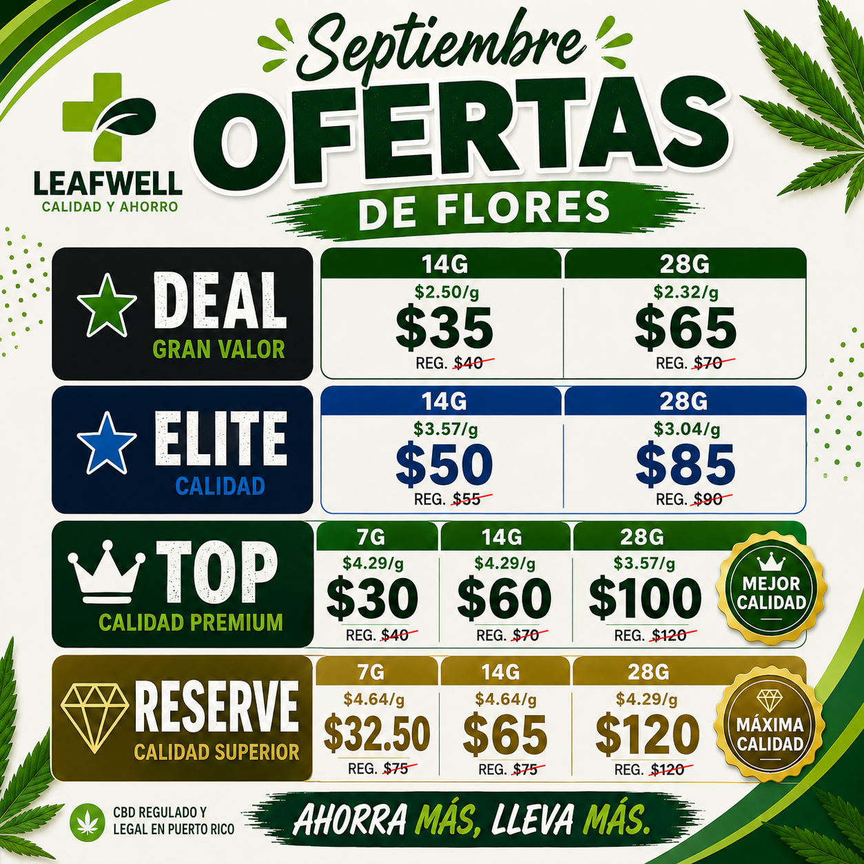 SEPT Flor.png