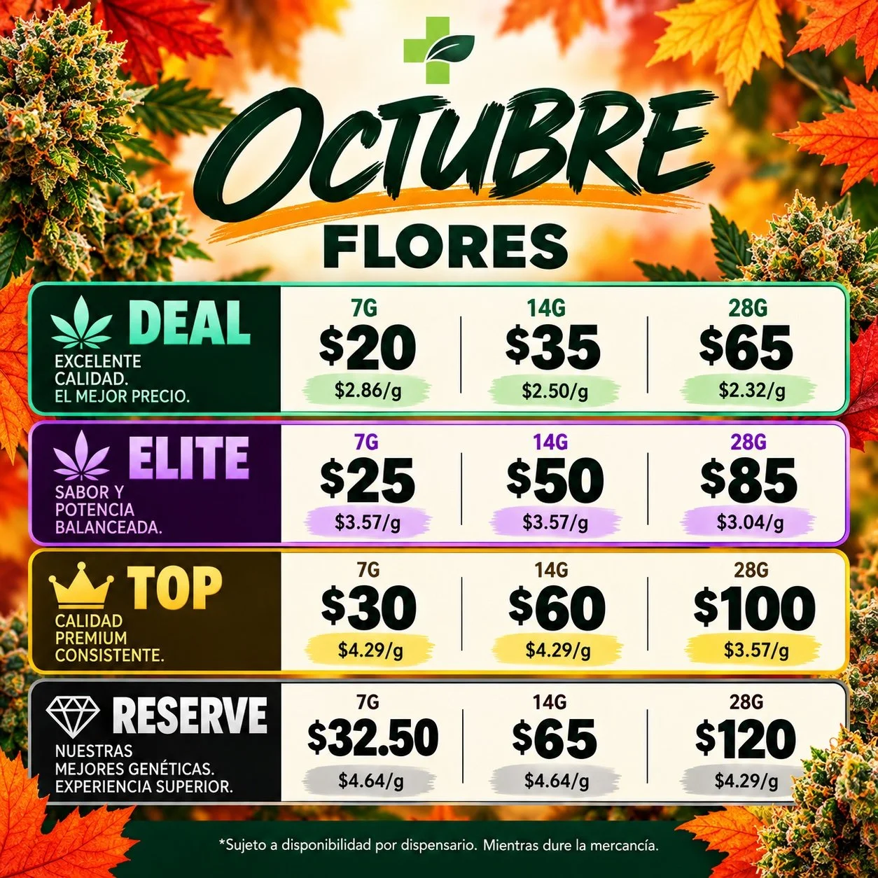 Flores_800KB.jpg