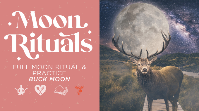 Screen Shot 2022-07-31 at 2.46.43 PM.png