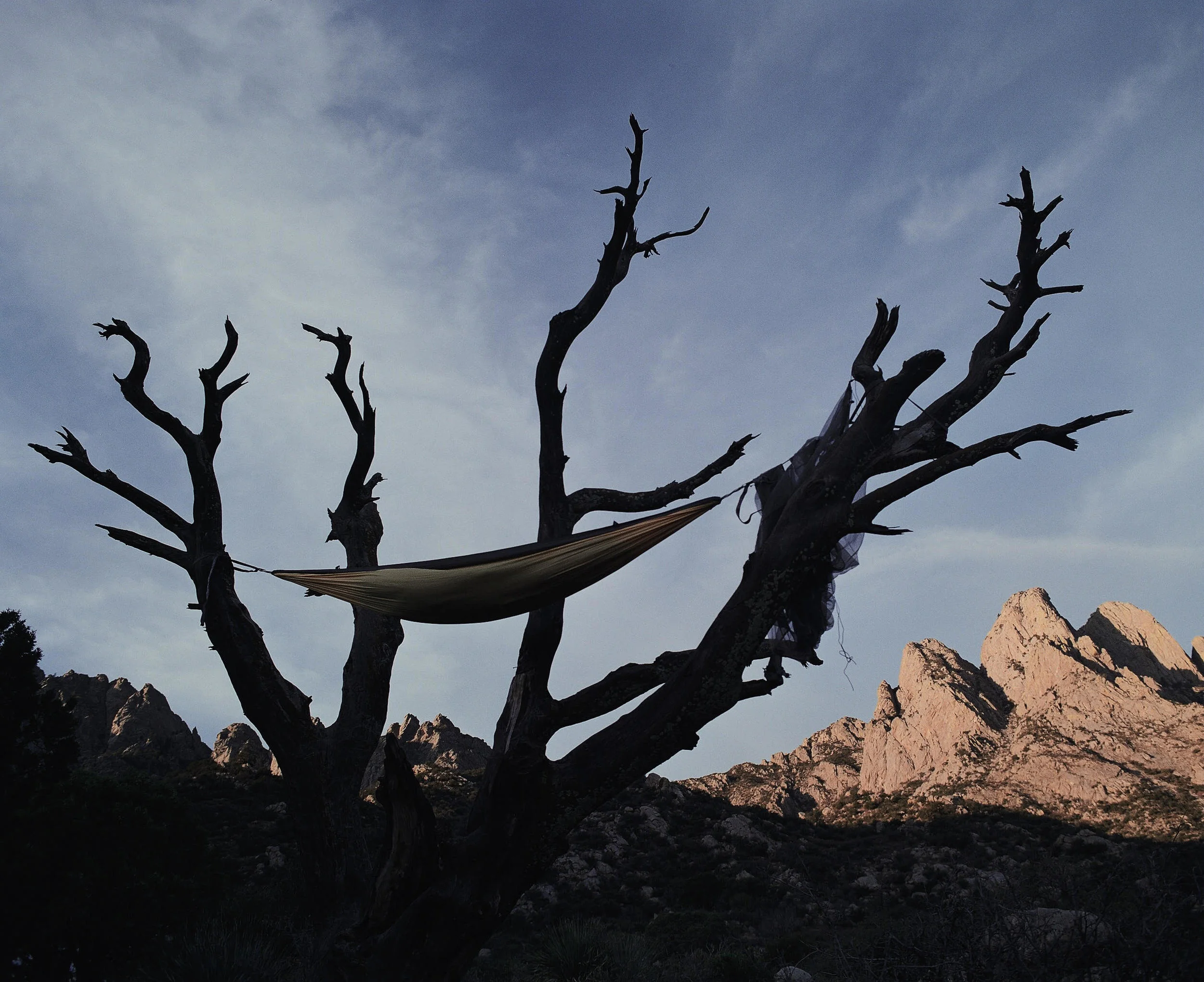 Organ Mountains NM.jpg