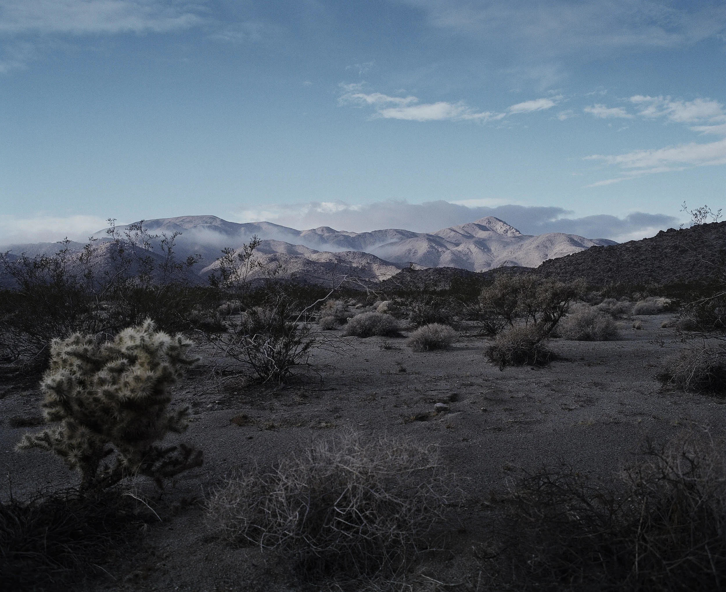 J tree mountain 1.jpg