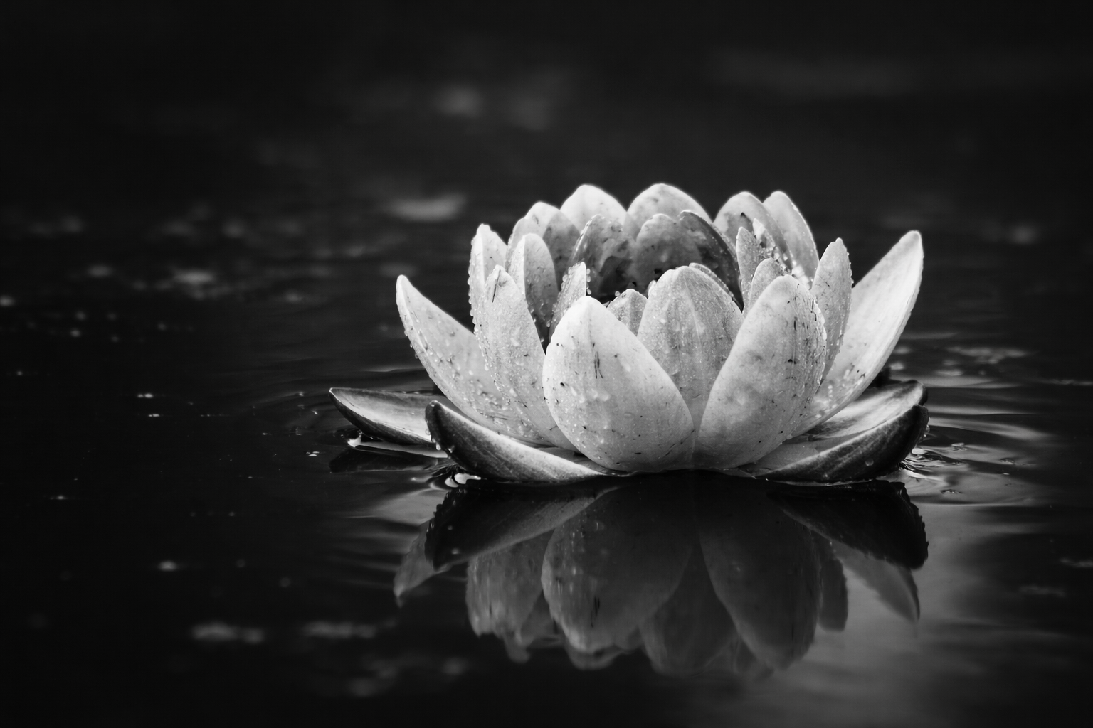 The Cycle of Harm: Why It’s Not Always Easy to “Just Leave”