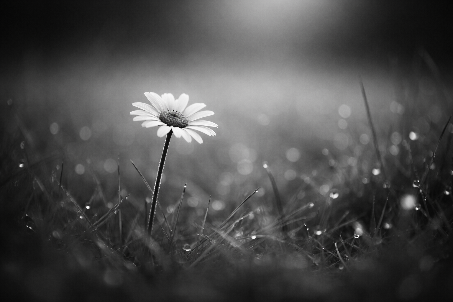 When Something Doesn’t Feel Right