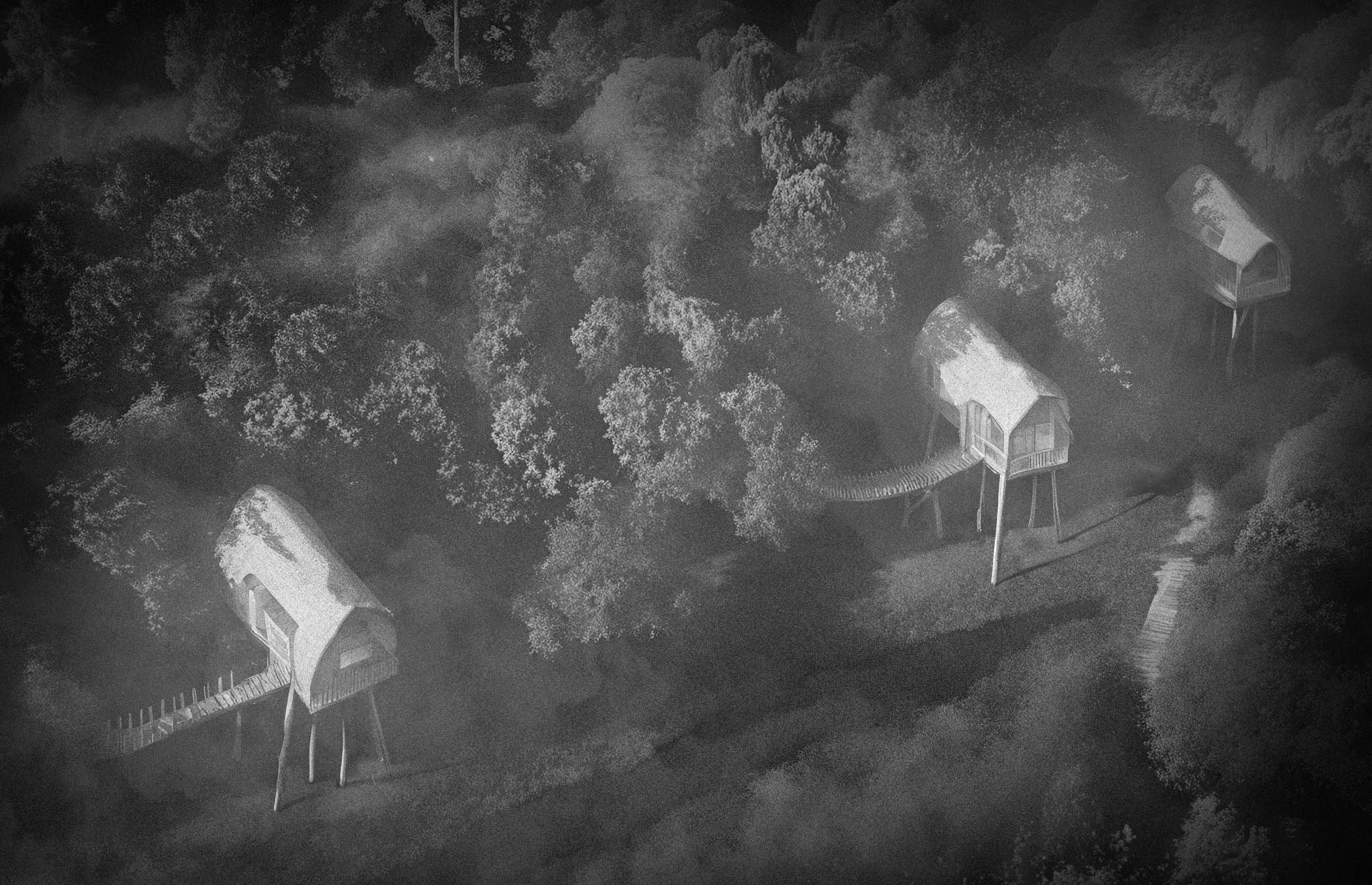 Bespoke treehouses timber structures on stilits in the woodland