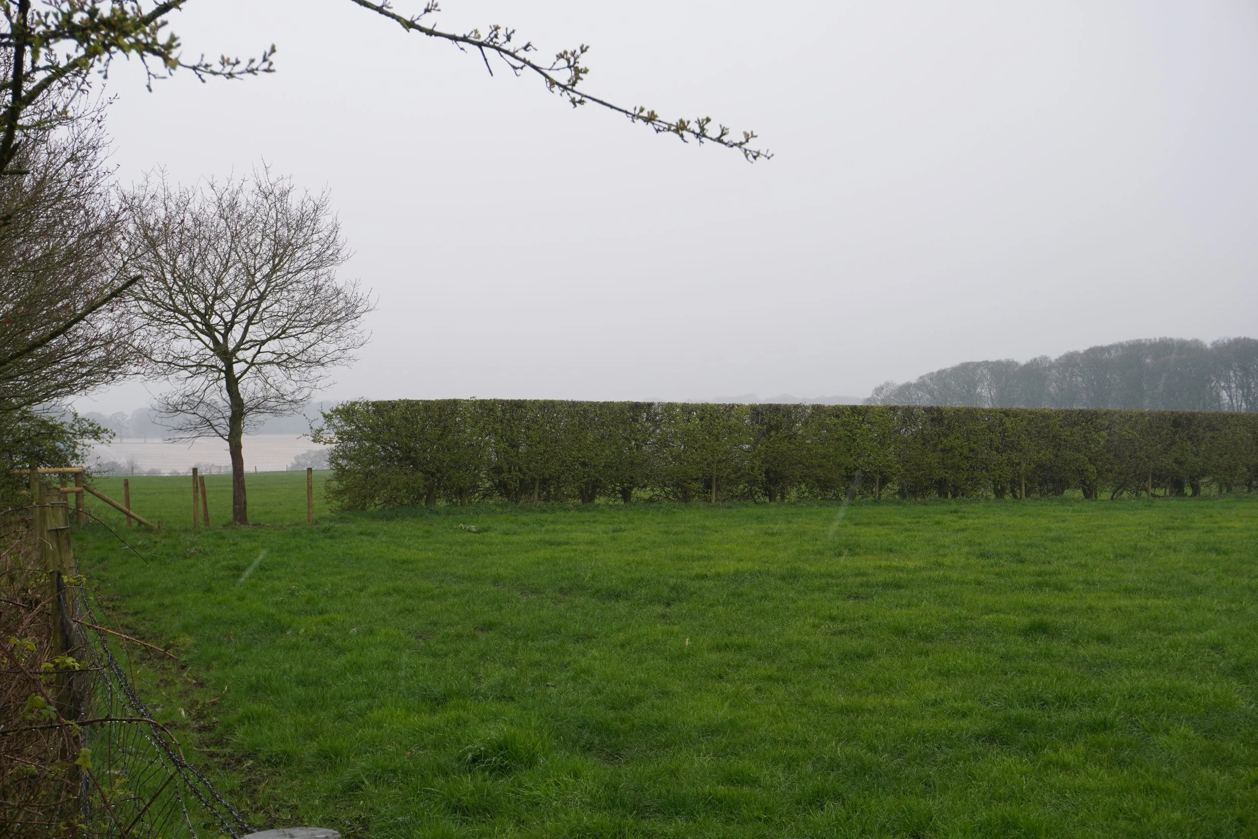 Pre-Purchase Architect Advice: What to Know Before Buying Rural Land in the UK