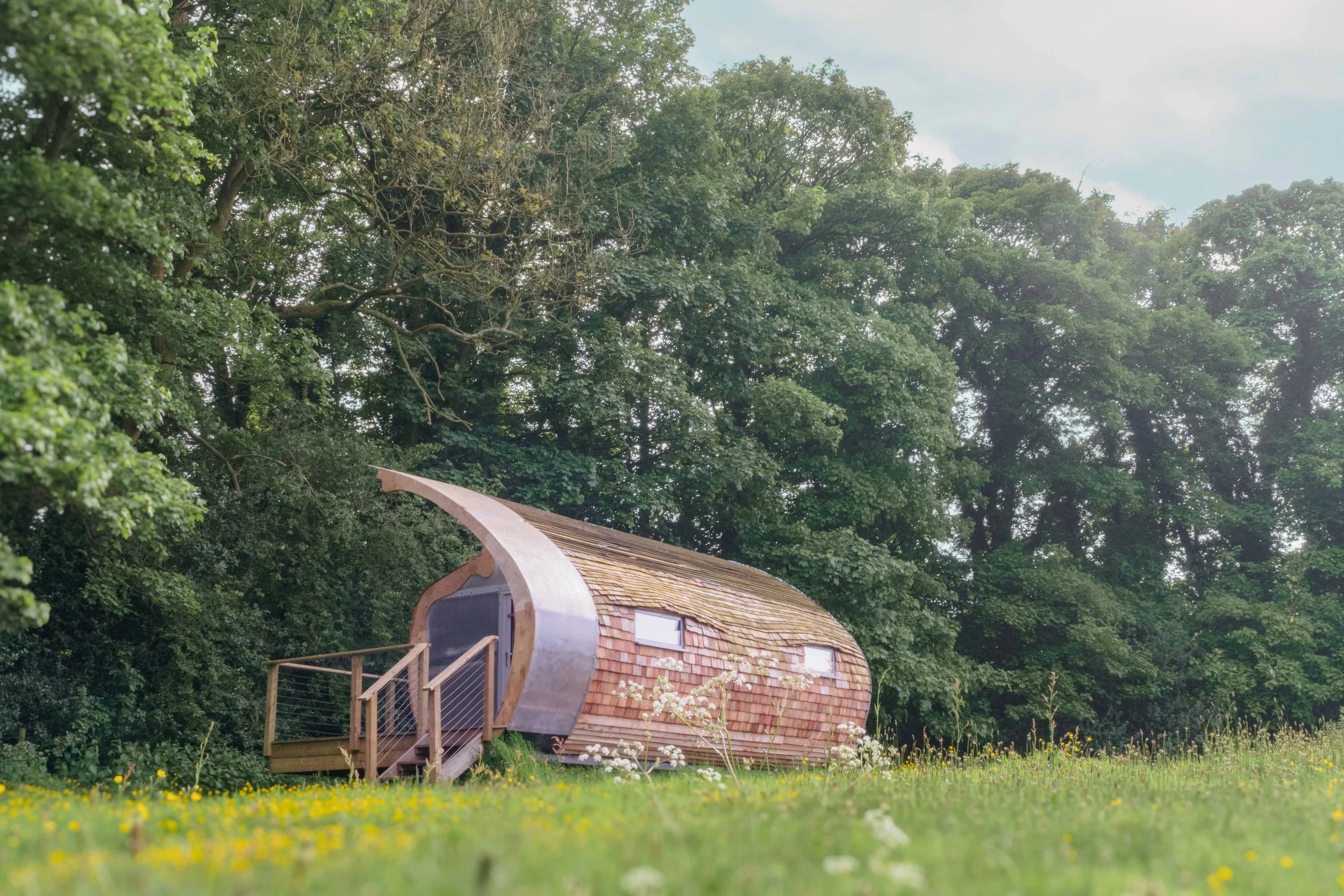 Cabin sat within a woodland with polycarbonate exterior and a curved organic structure