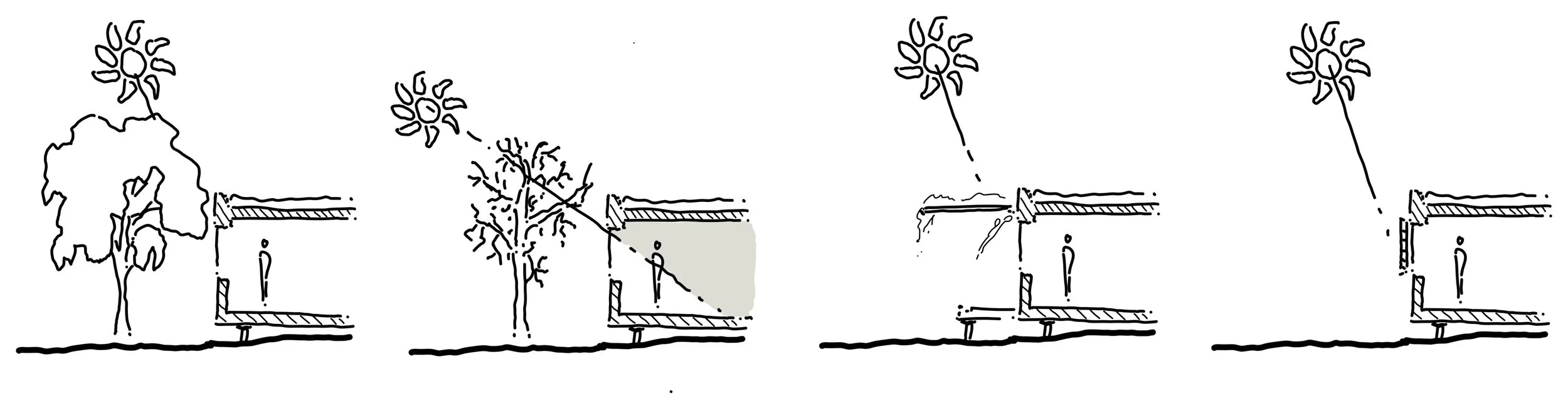 Sketch showing how deciduous trees control sunlight — leafy canopy provides shade in summer, bare branches allow light through in winter