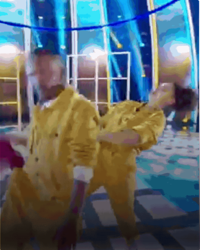 SYTYCD ChoreographerCreative Director (1).gif