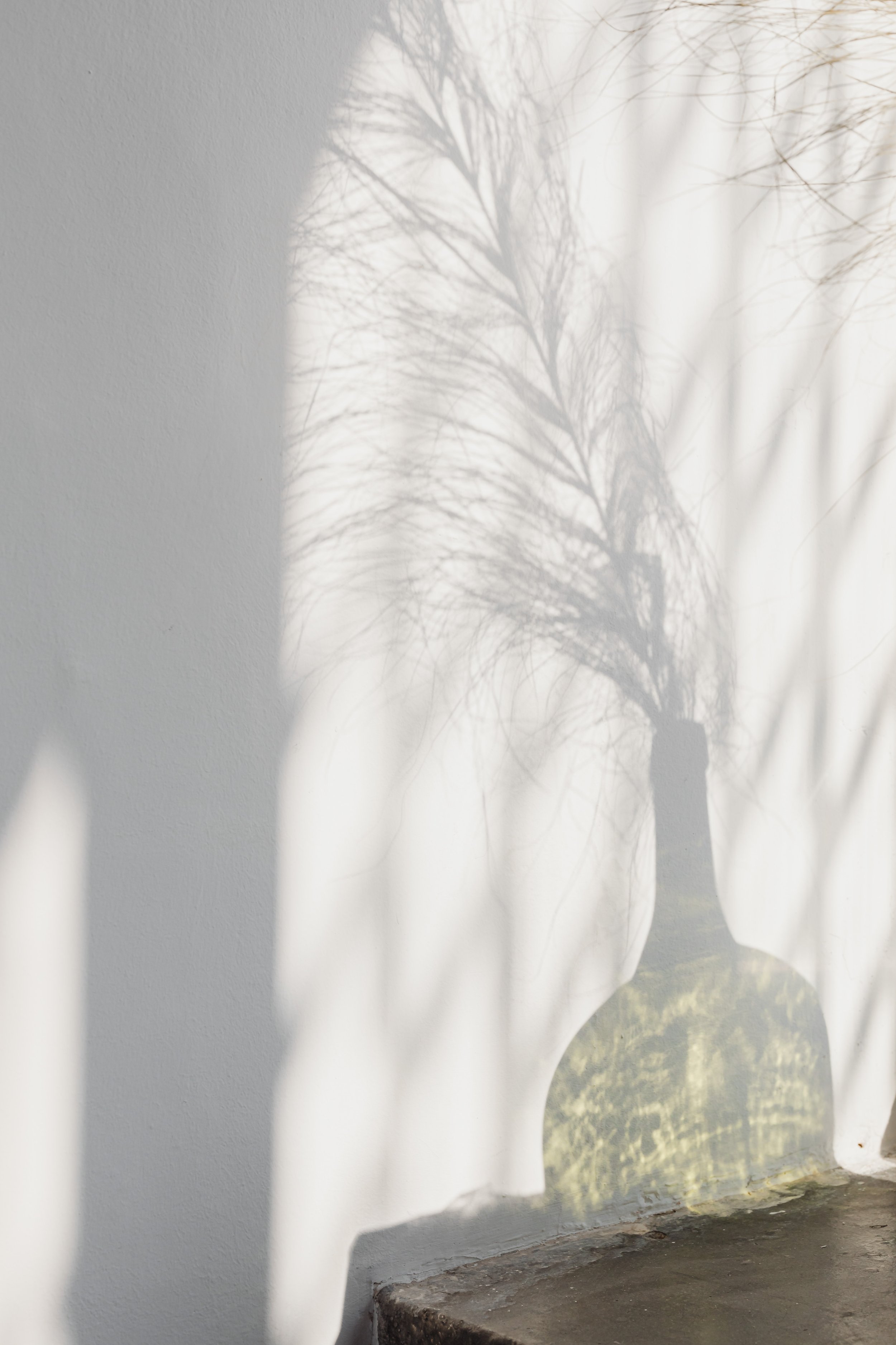 Timeline for Alcohol Detox