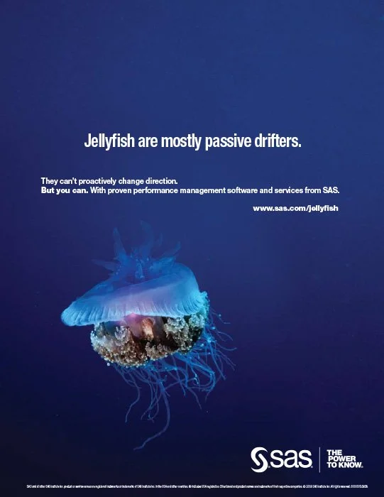 YC_Performance_Management_Jellyfish.jpg