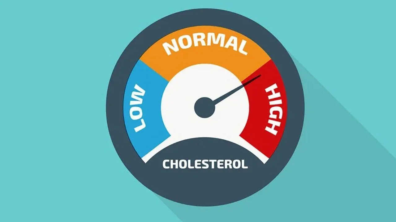 Does Higher Cholesterol Lead to Longer Life?